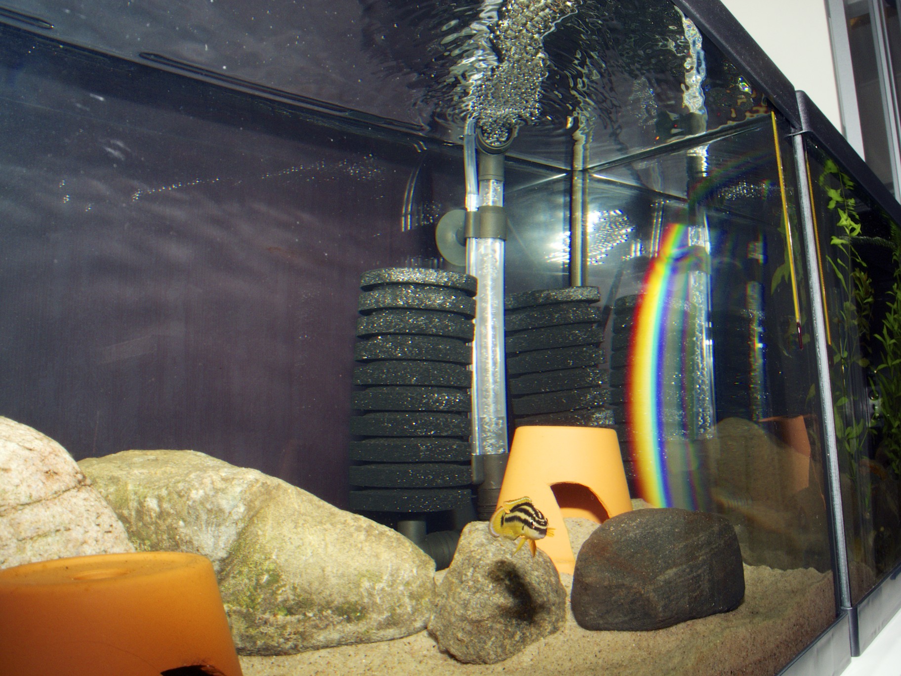 DSCN0889.jpg