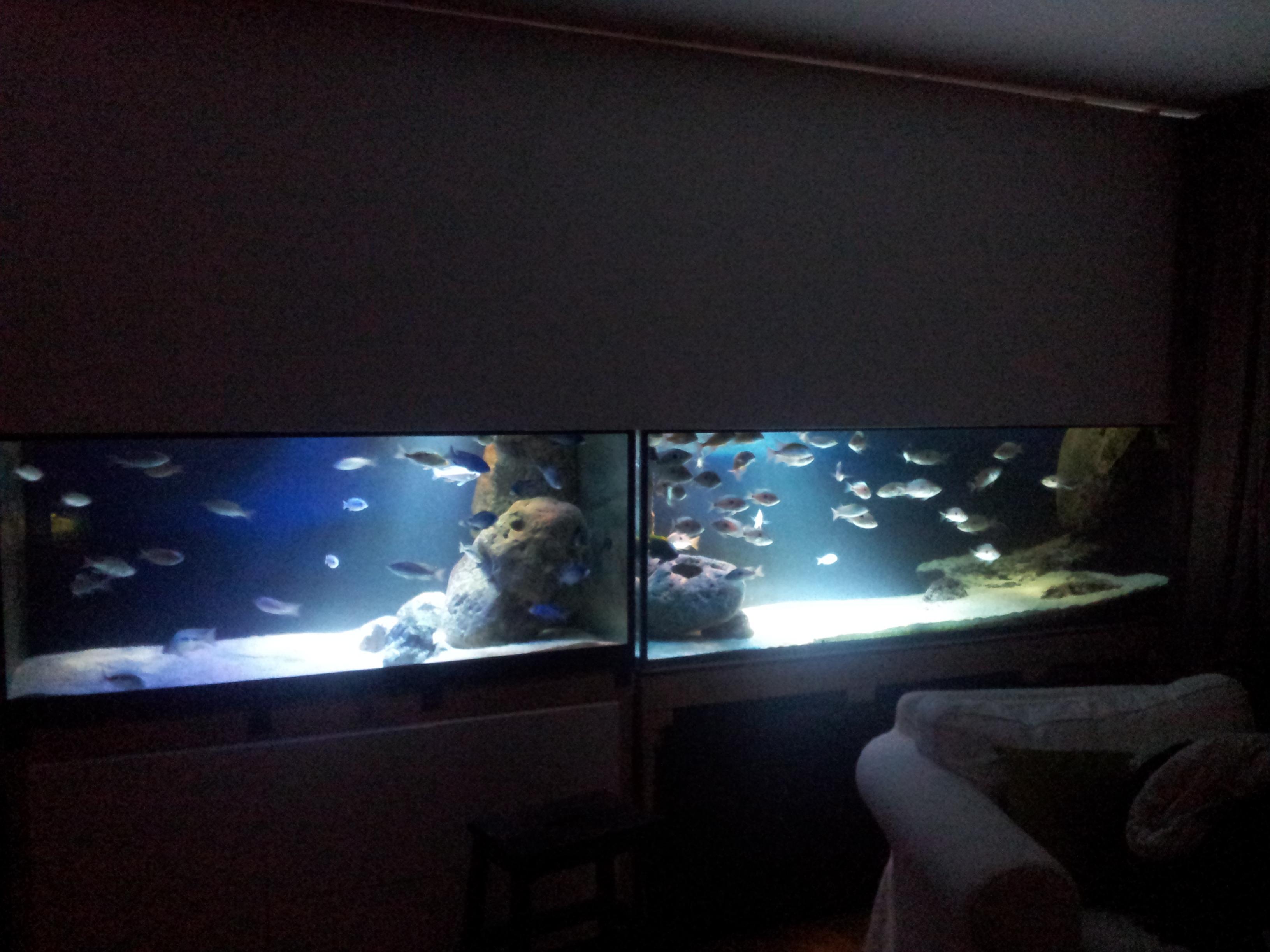 20131209_171409.jpg