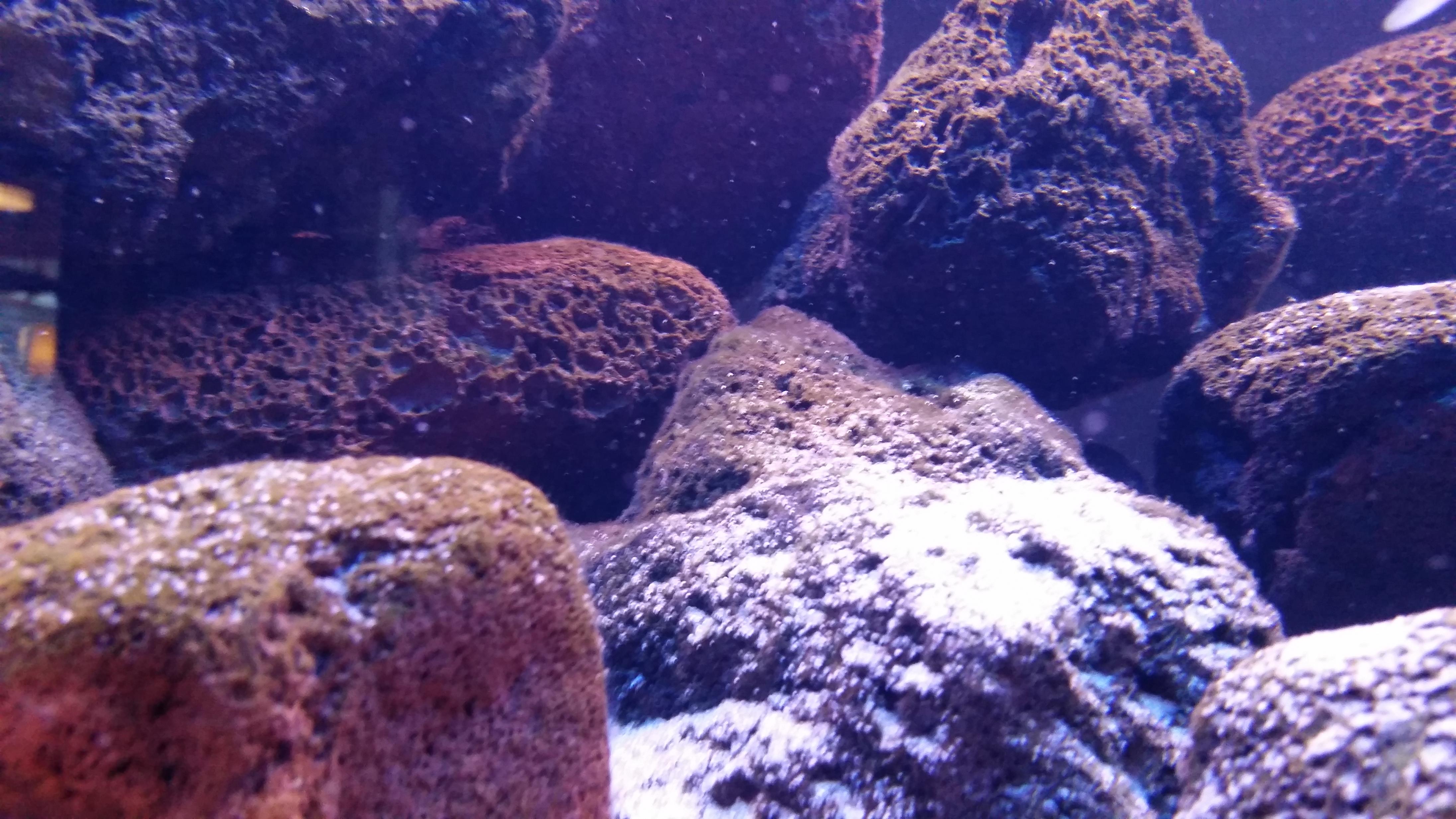 20141116_142401.jpg