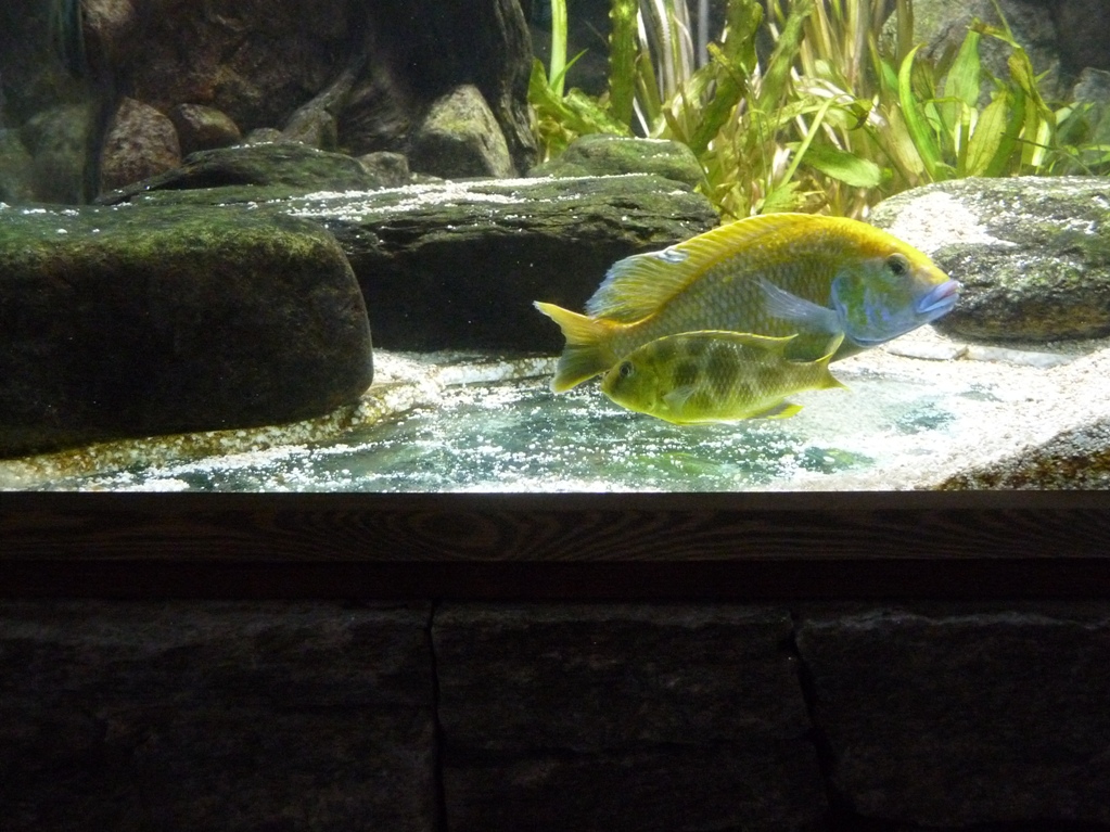 P1040393.JPG