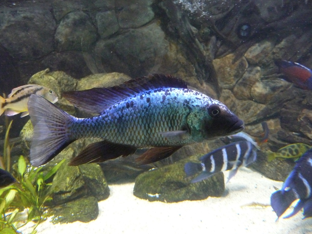 P1040443.JPG