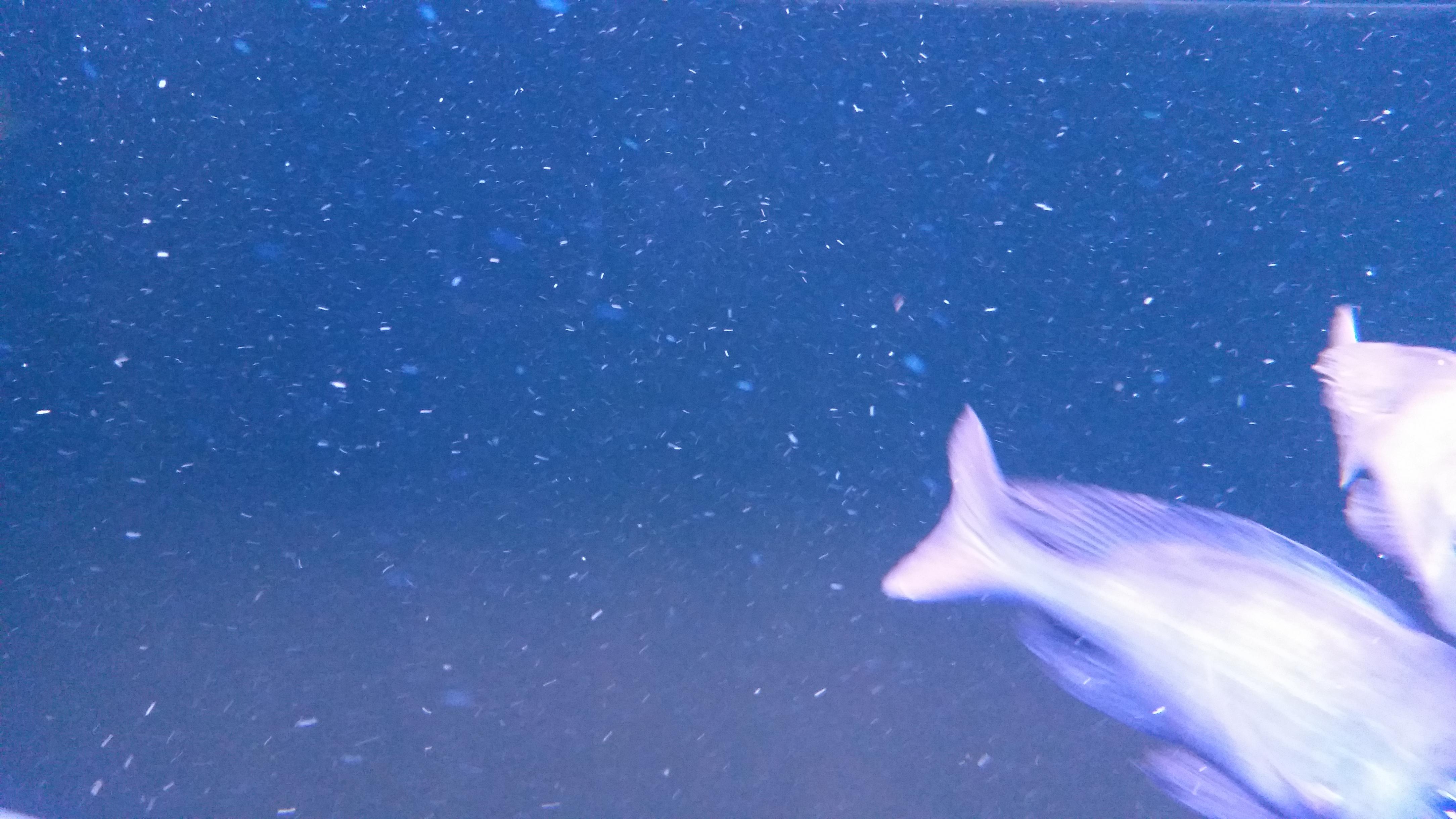 20141116_101349.jpg
