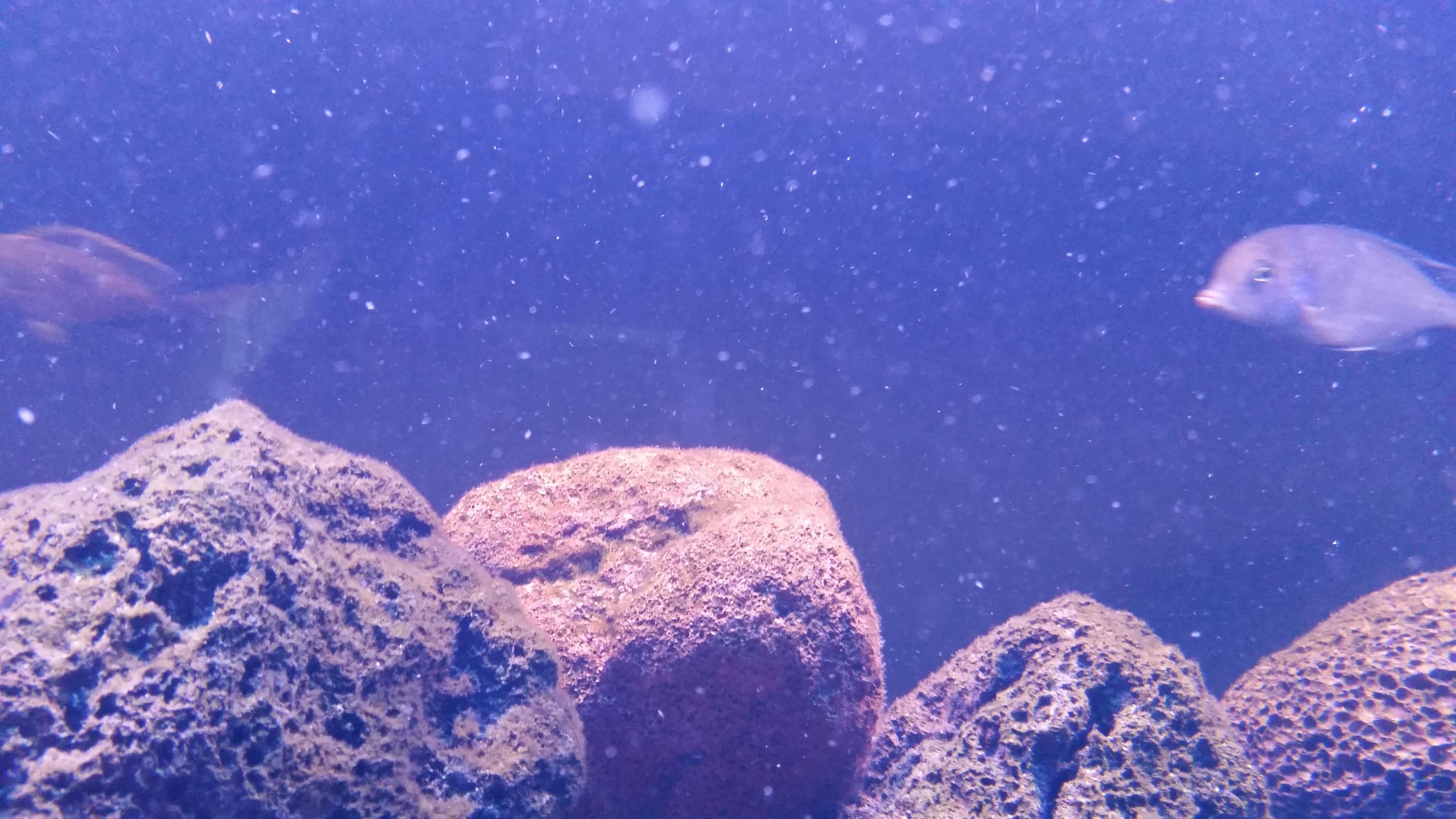 20141116_142435.jpg
