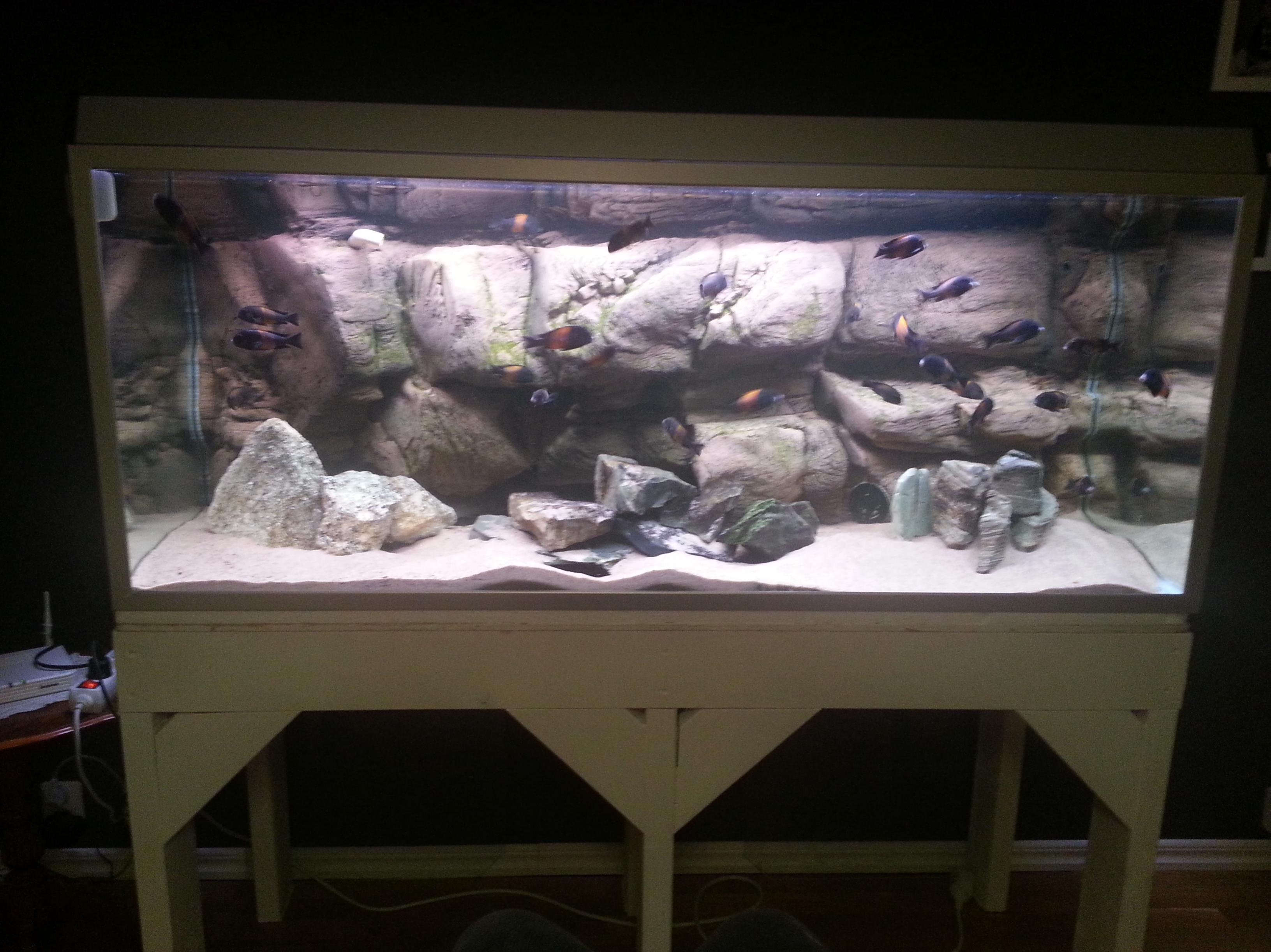 20130110_163512.jpg