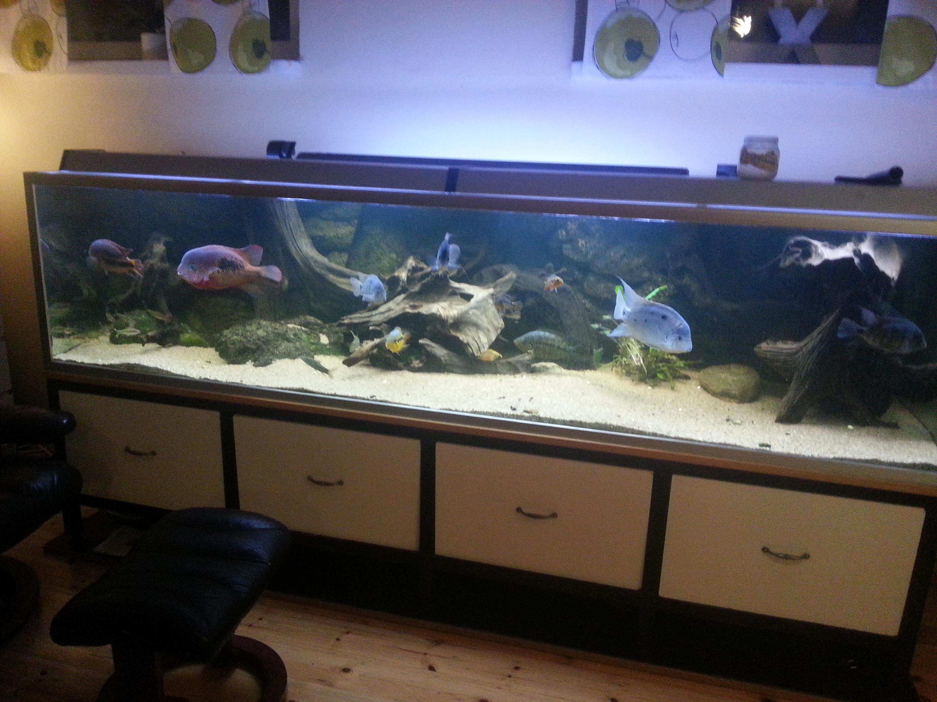 20121223_235317.jpg