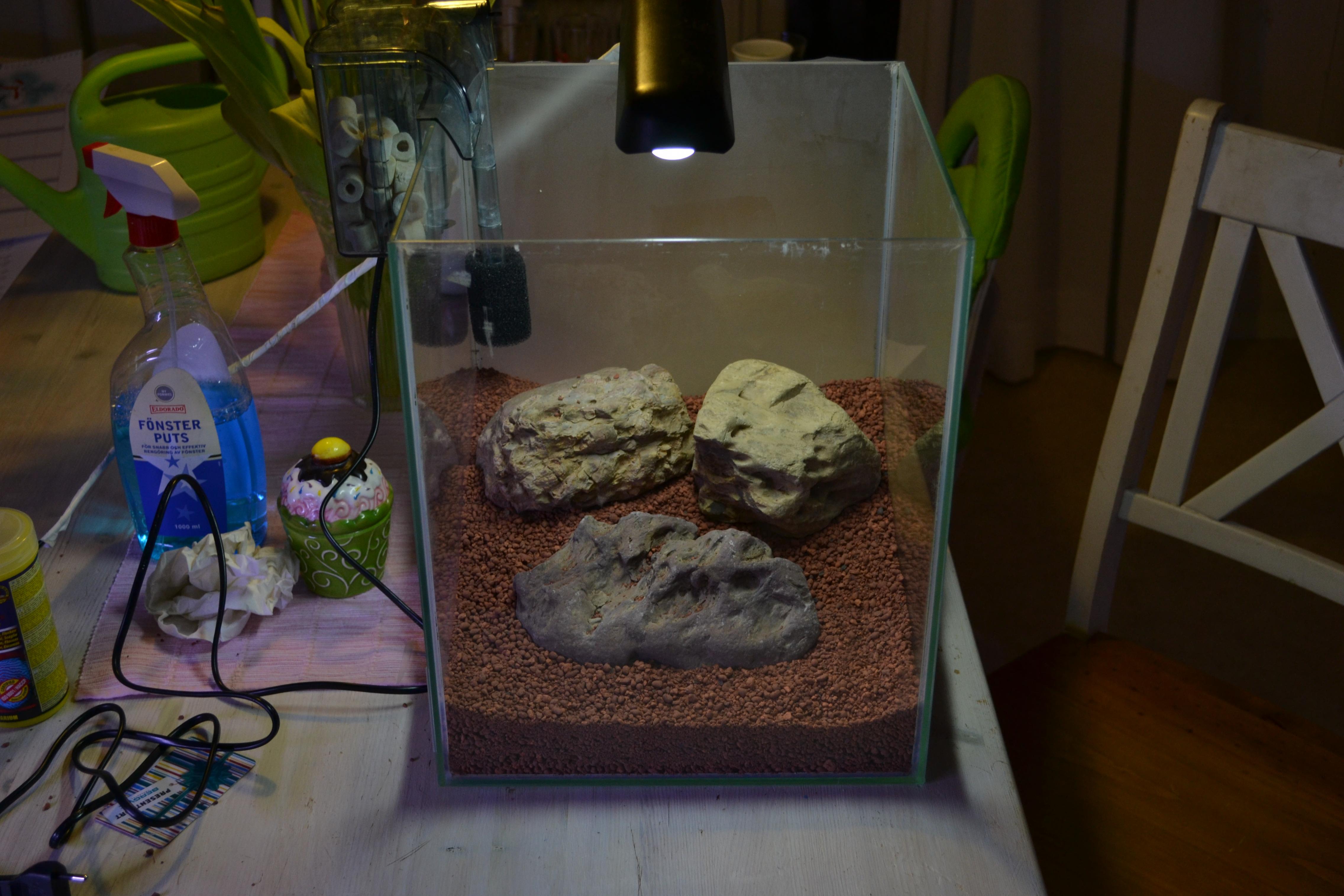 DSC_0137.jpg