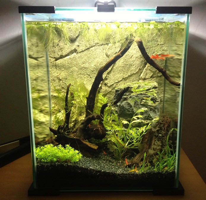 30L.jpg