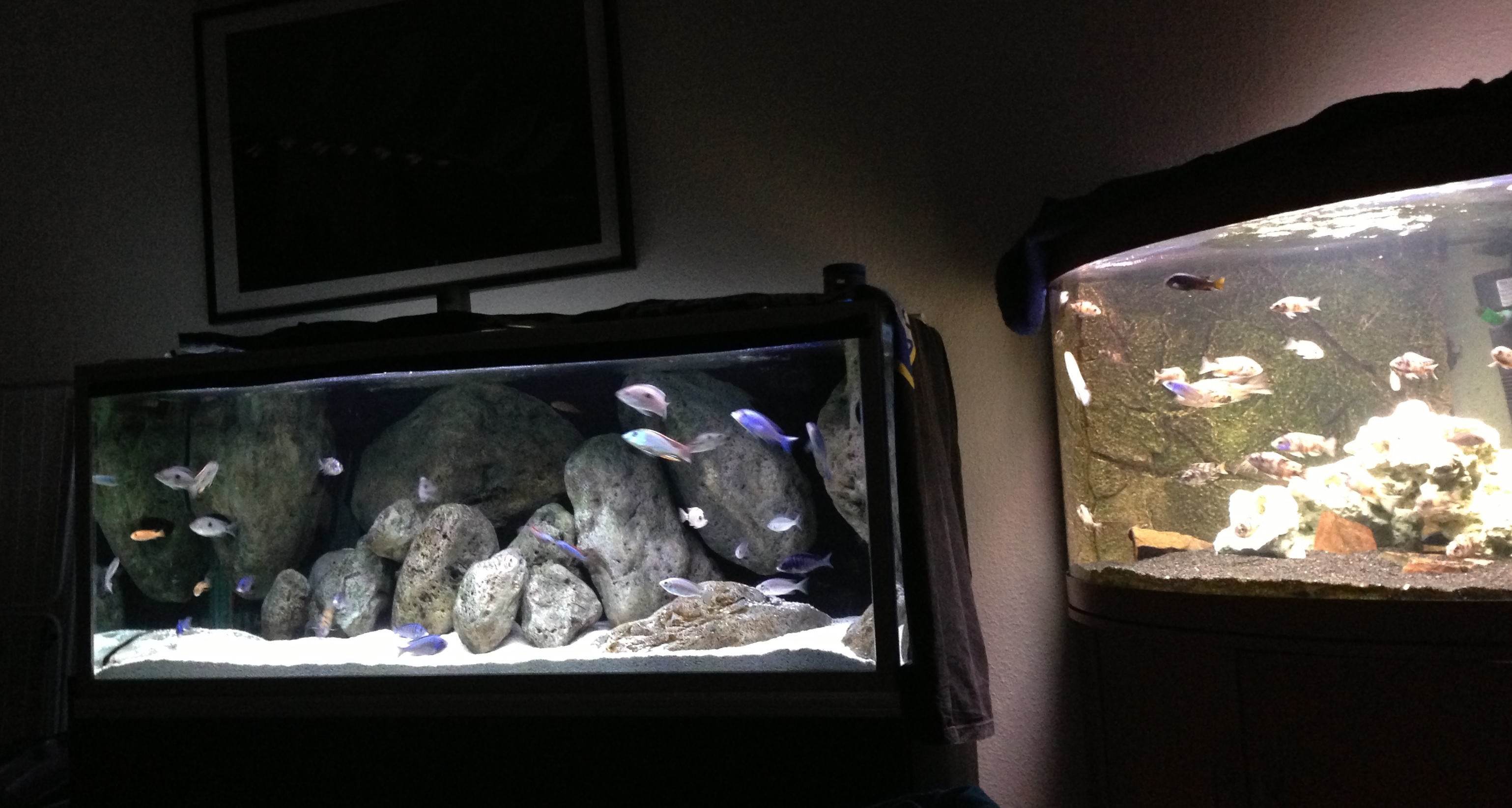 akvarium.jpg