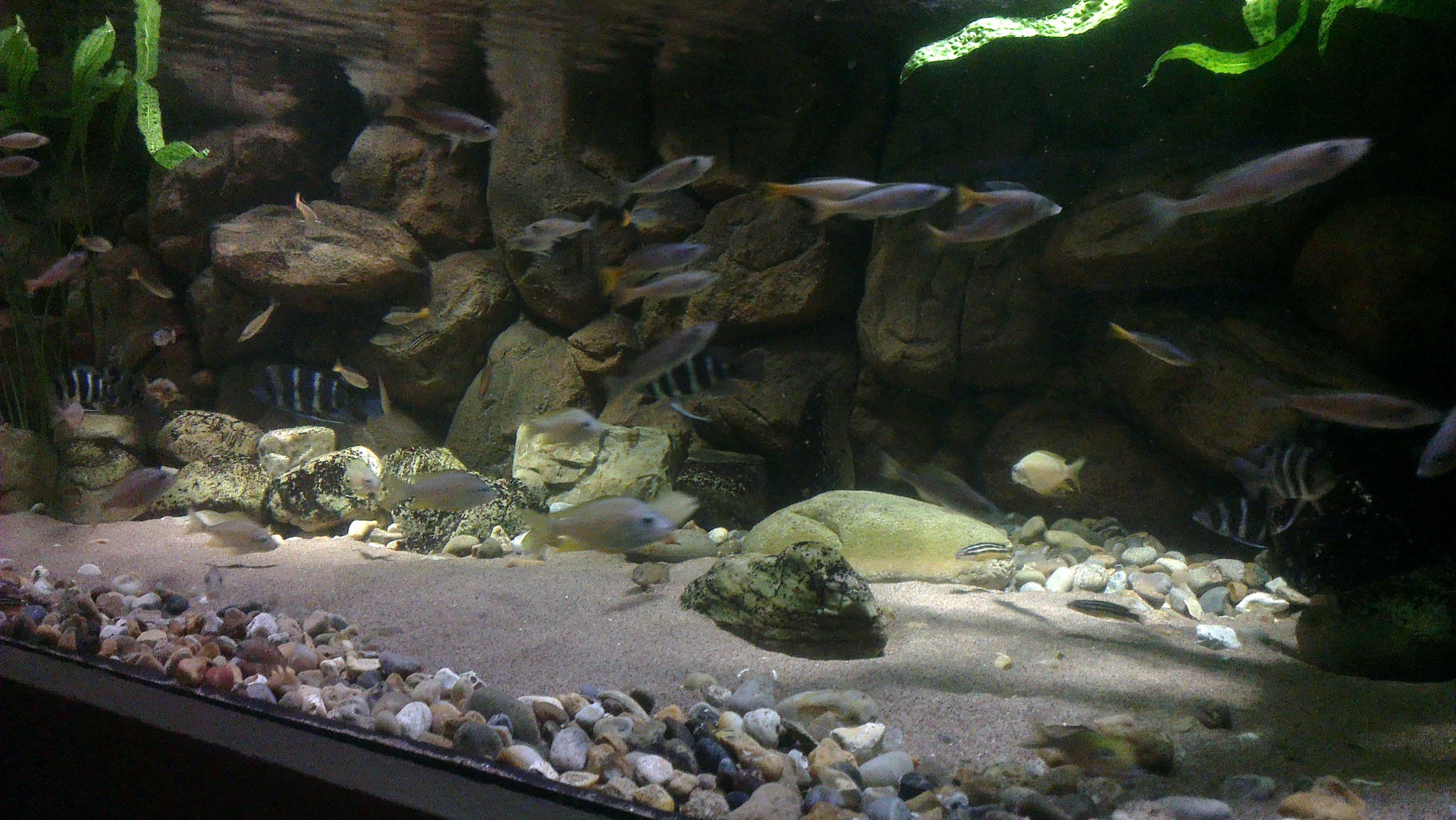 IMAG0309.jpg