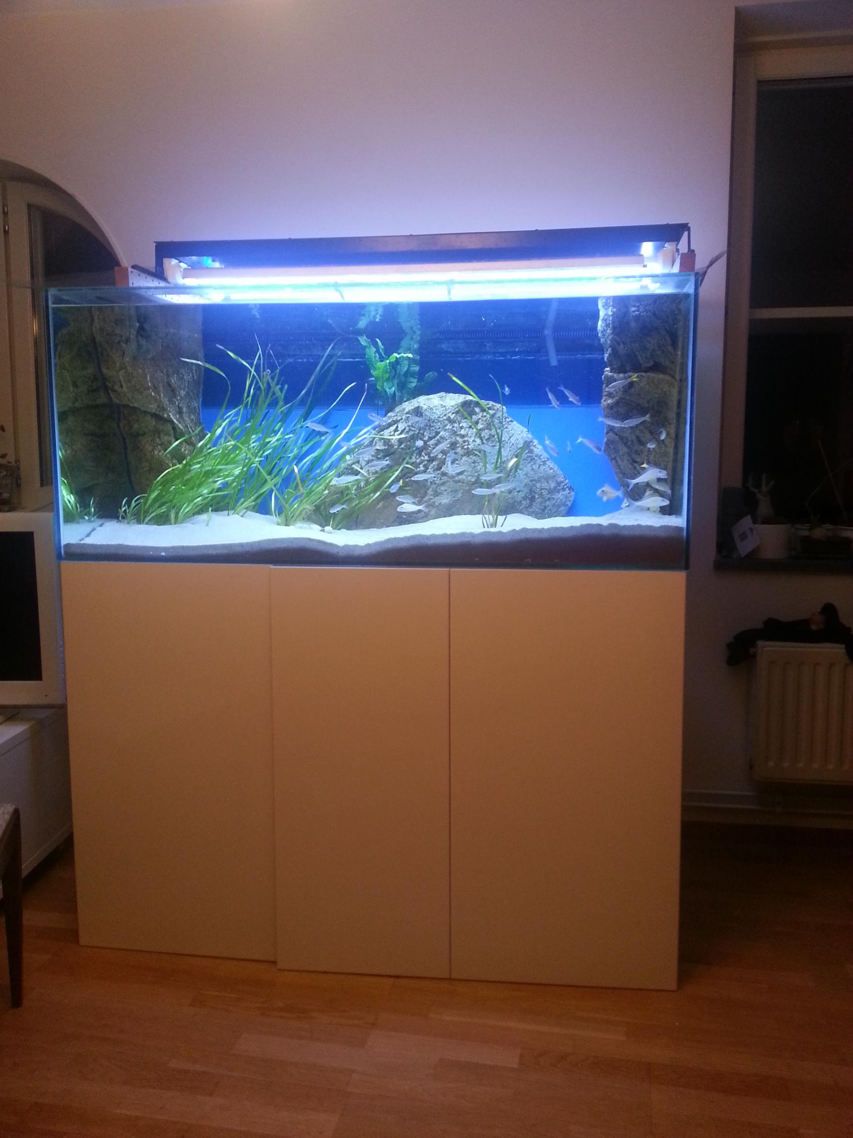 20140307_201550.jpg