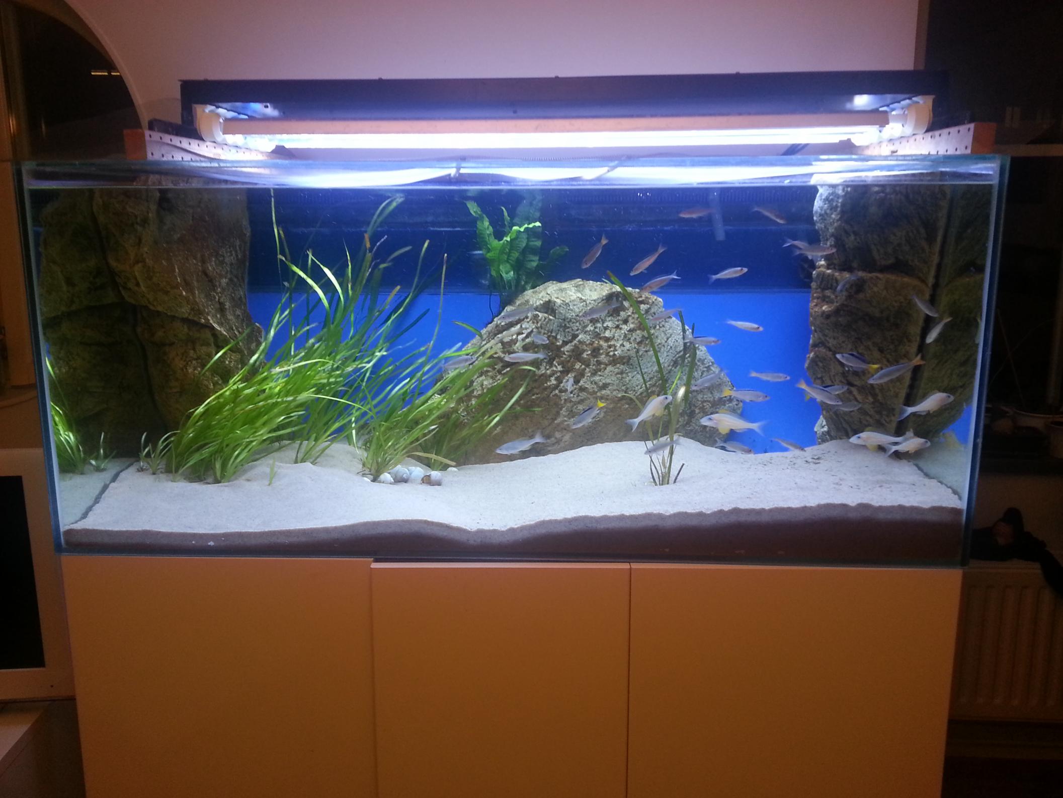 20140307_201609.jpg