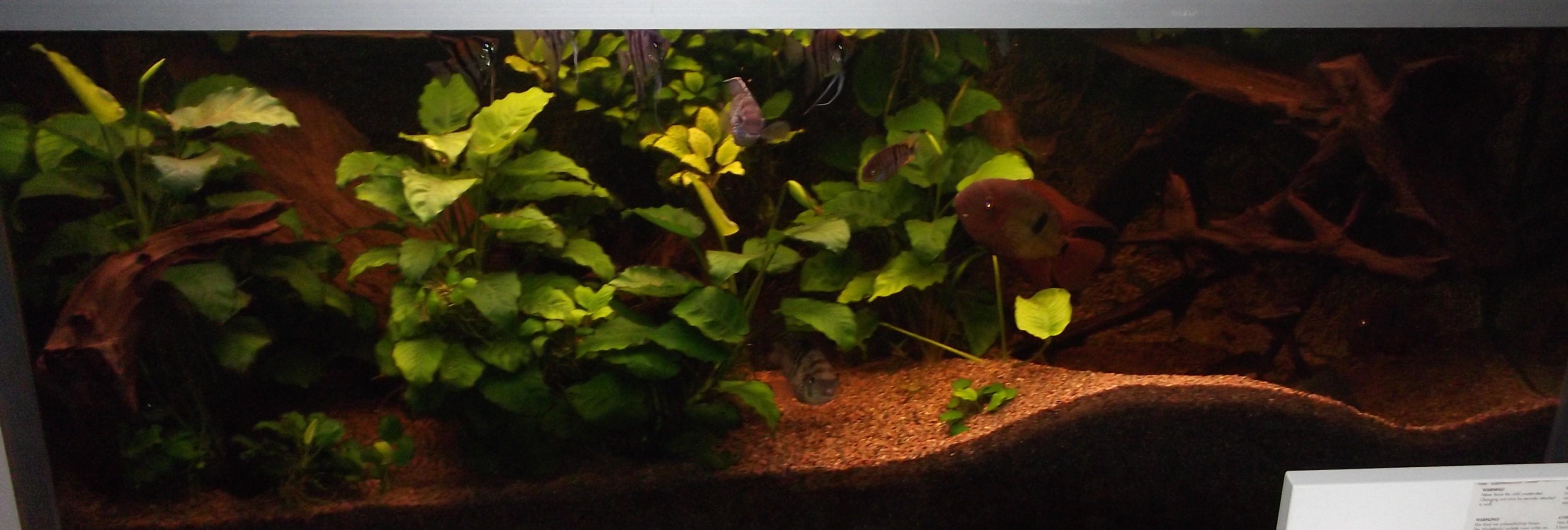 DSCF2097.jpg