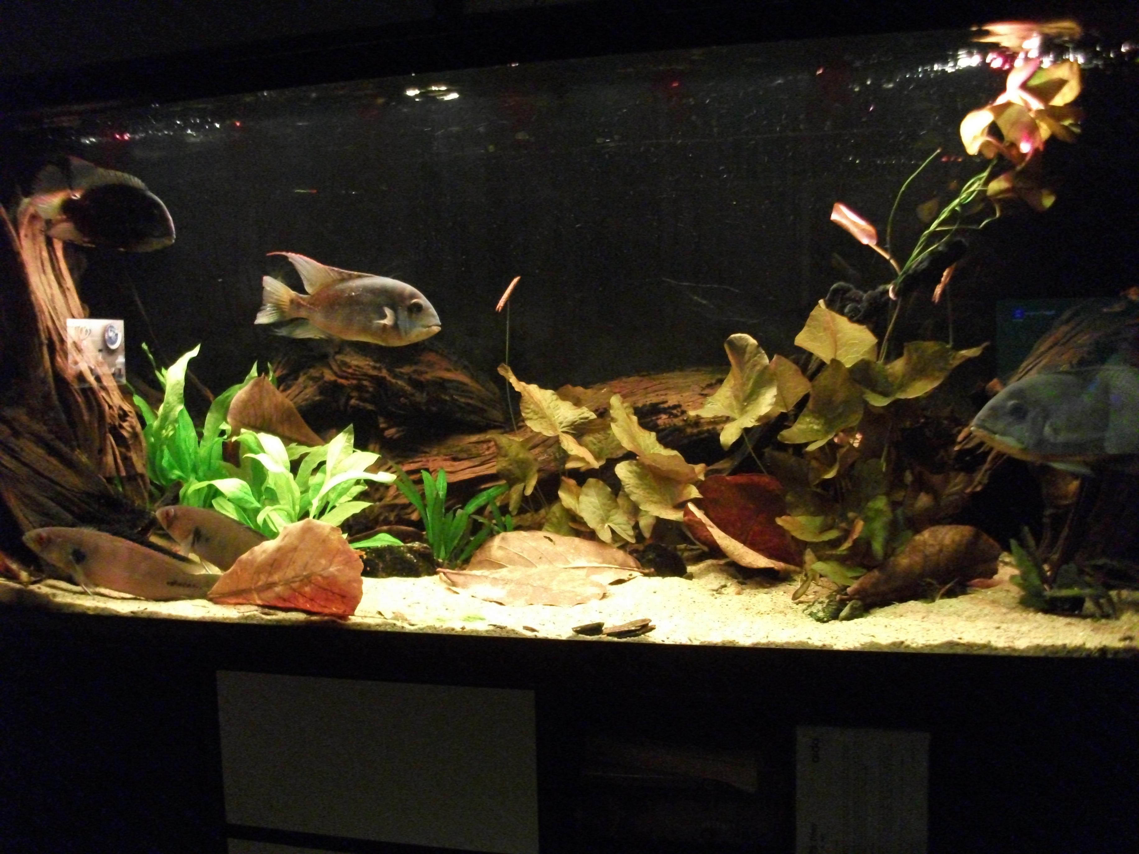 DSCF1277.jpg