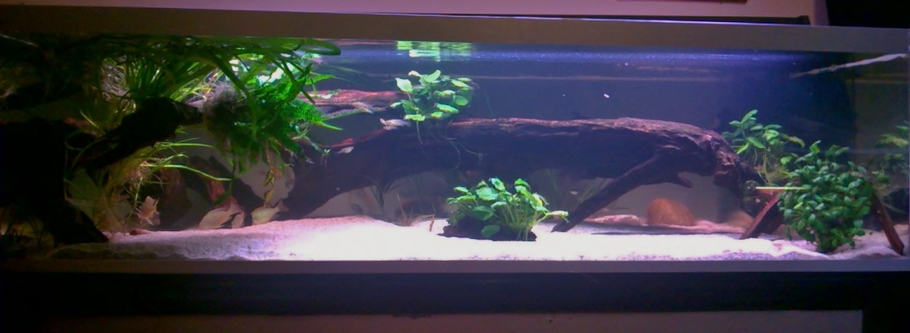 WP_20141115_008.jpg