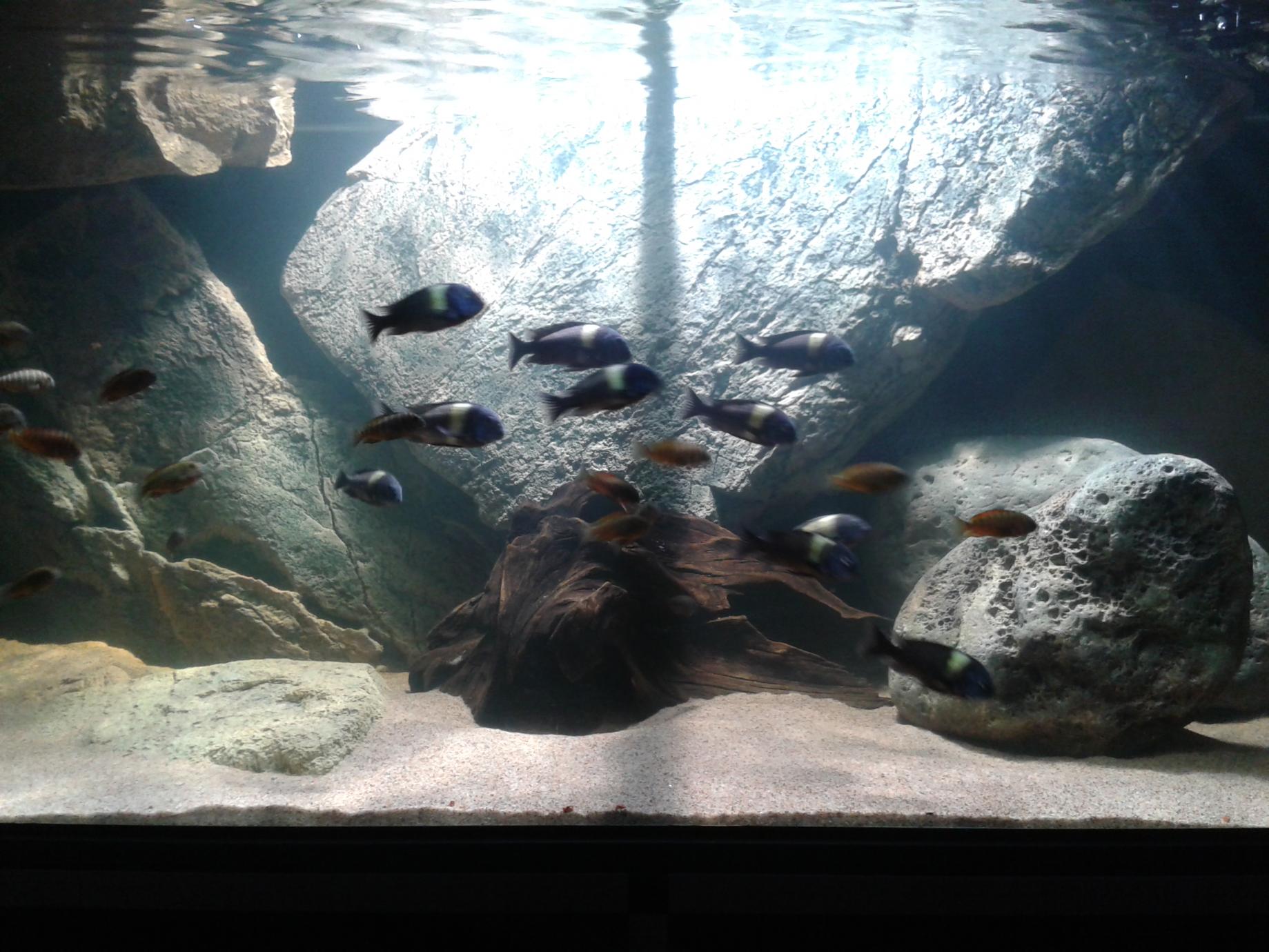 20140927_195244.jpg