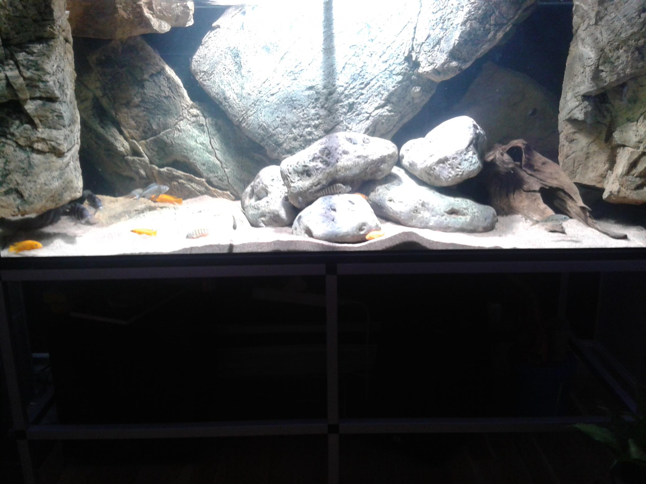 20141222_170938.jpg
