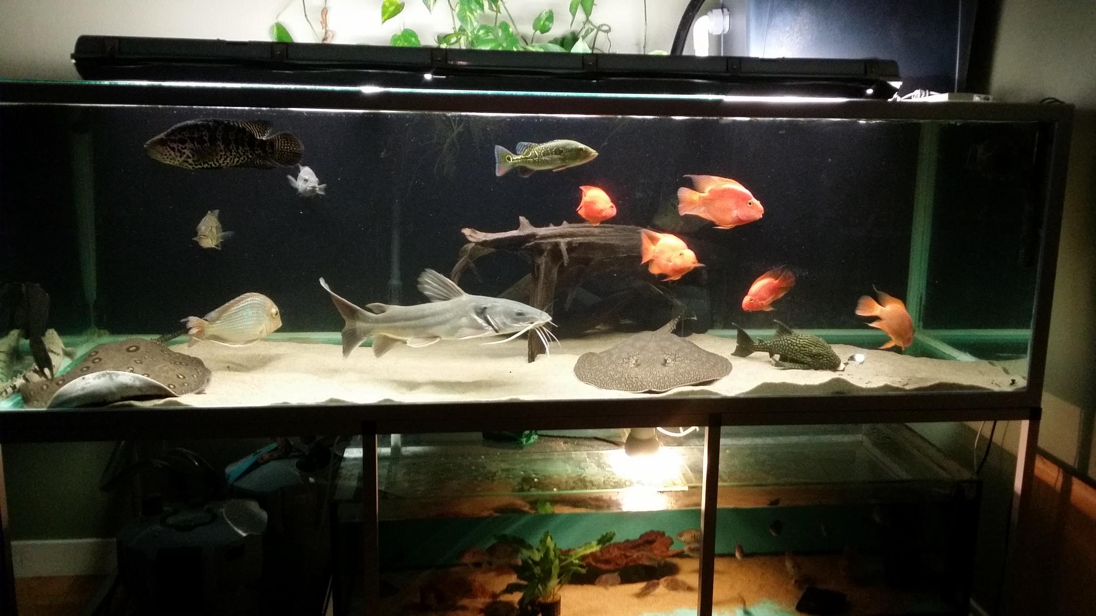 20150212_163334.jpg