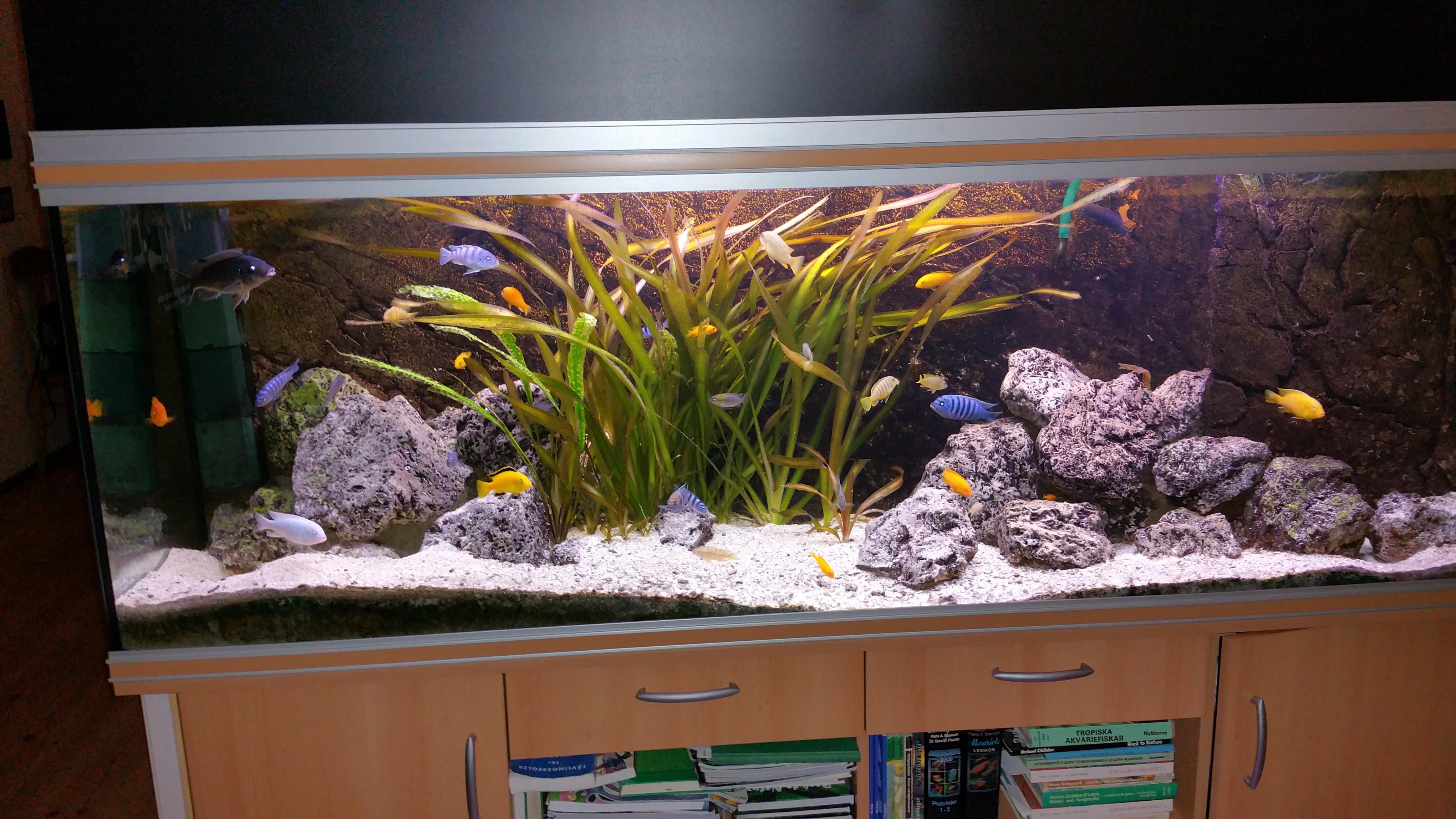 20150906_203850.jpg