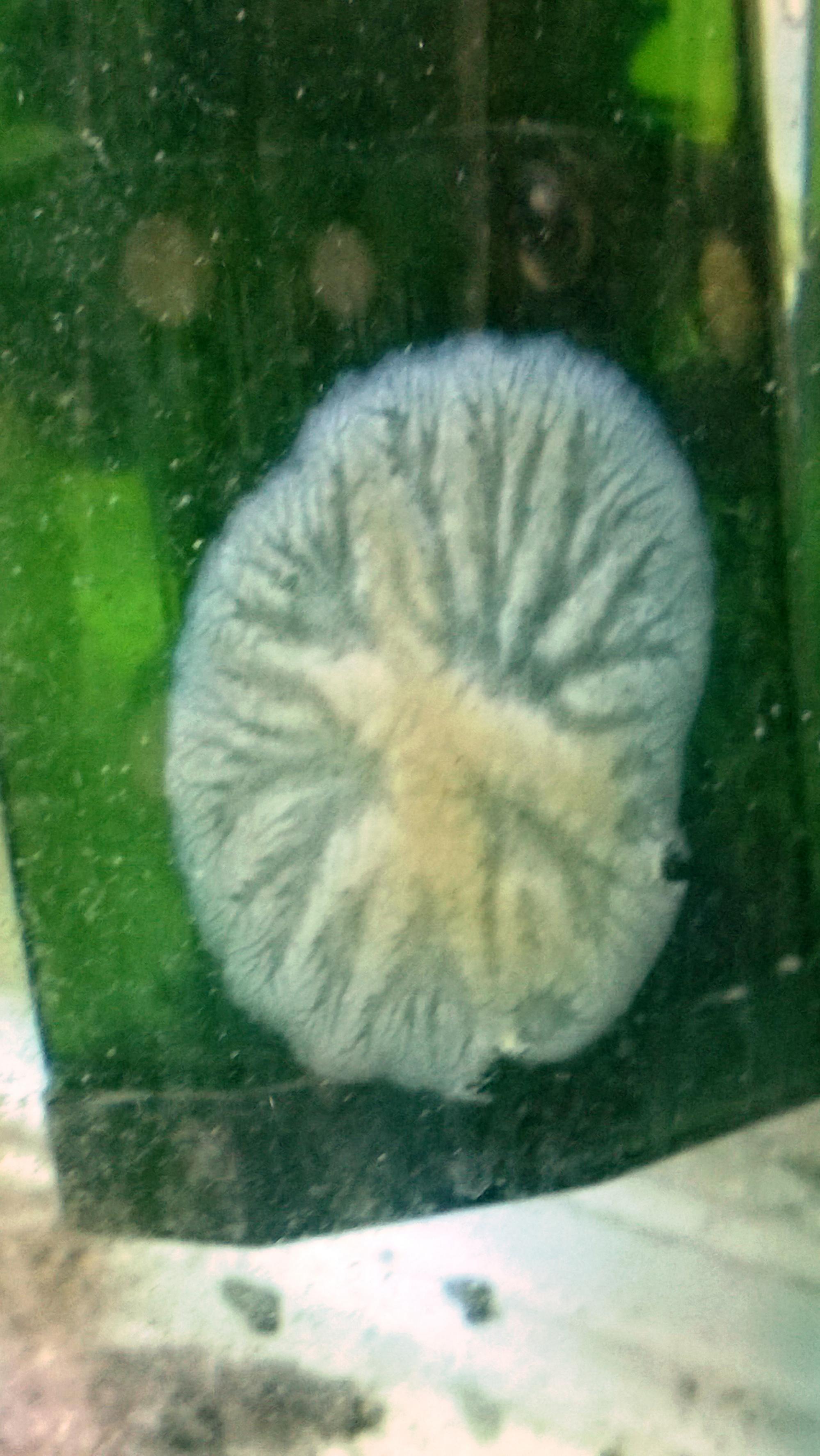 WP_20150719_10_22_58_Pro - kopia.jpg