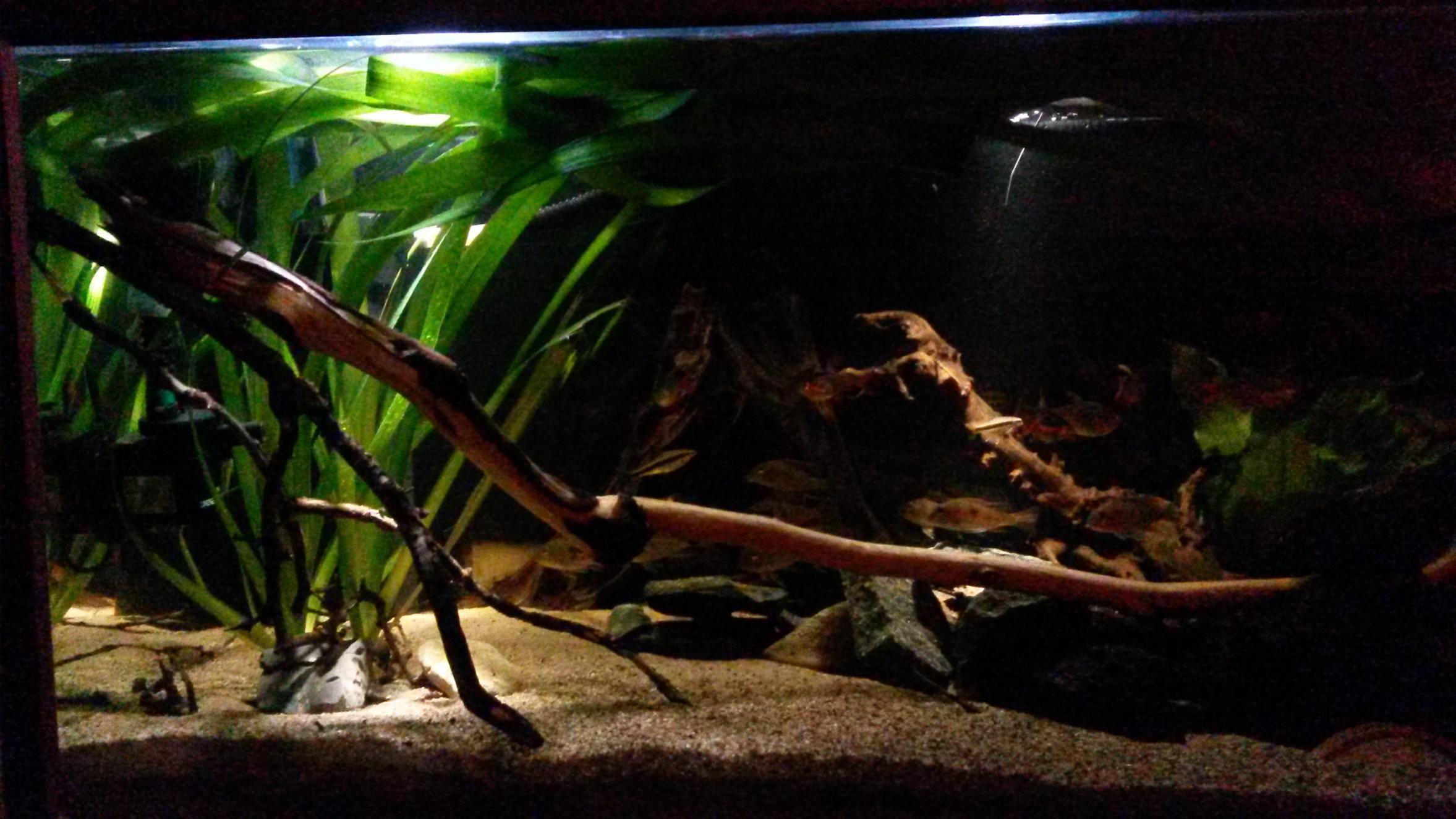 20150422_204418.jpg