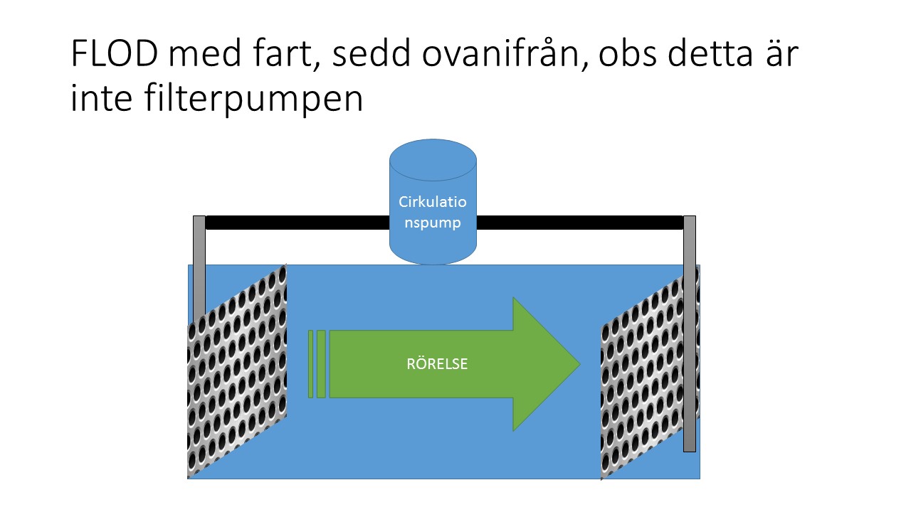 Bild4.JPG