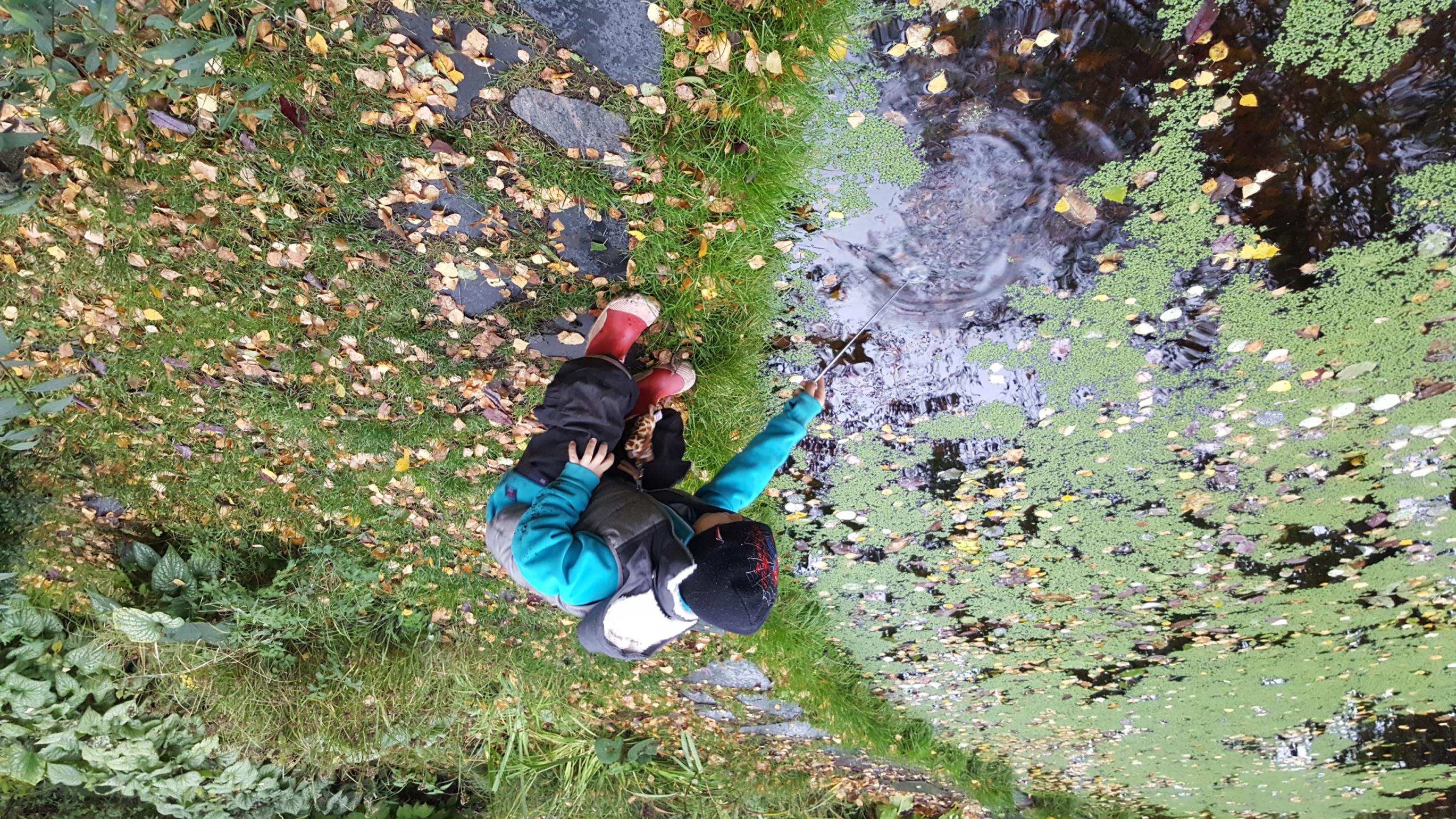 20161009_160823.jpg