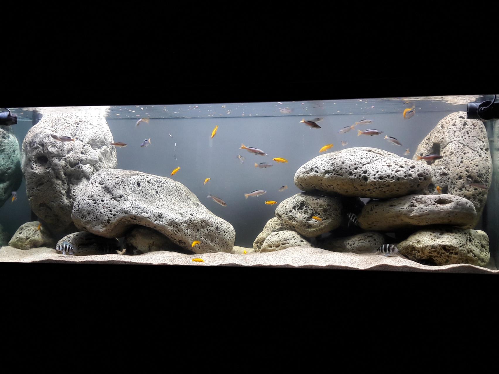 20180529_213021.jpg