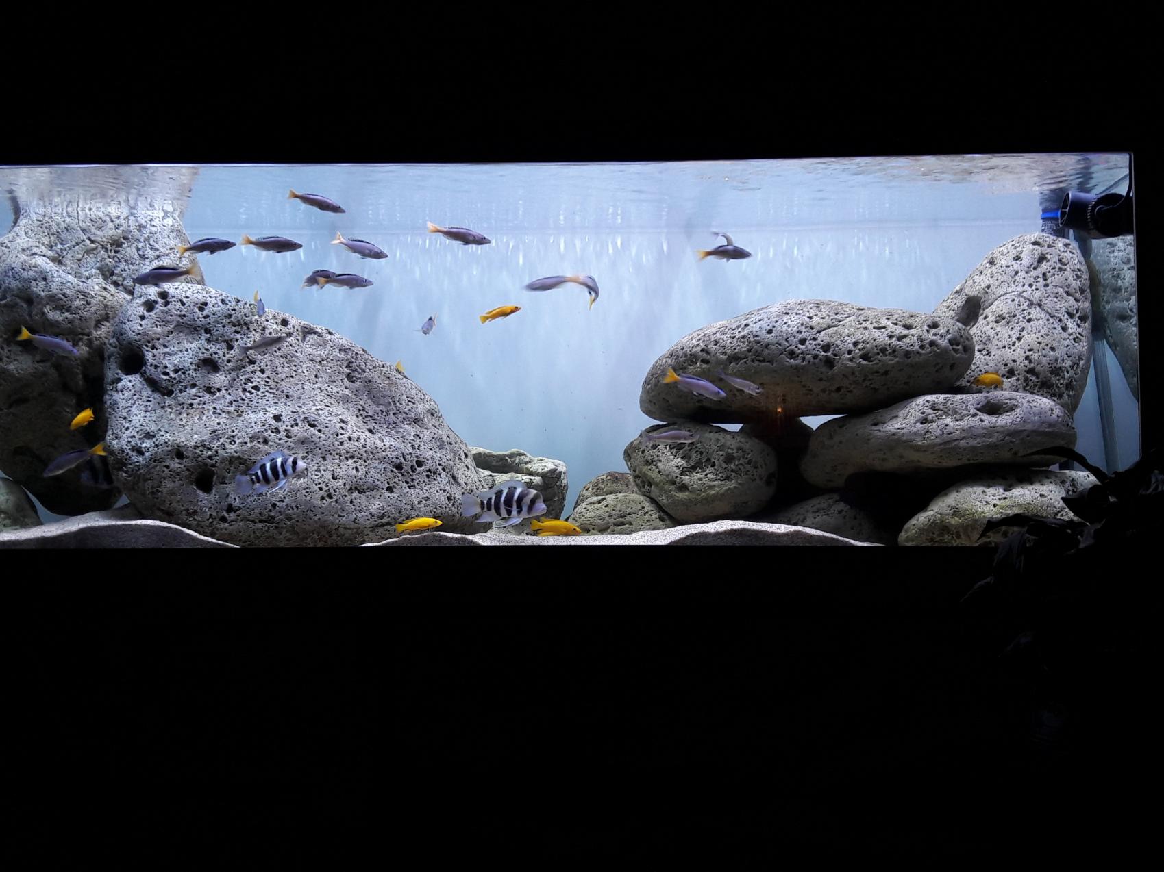 20181107_210813.jpg