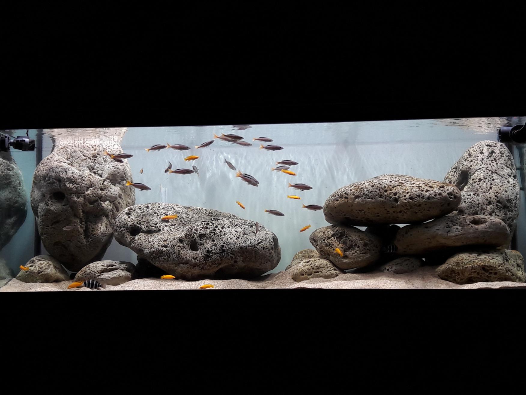20180624_194957.jpg