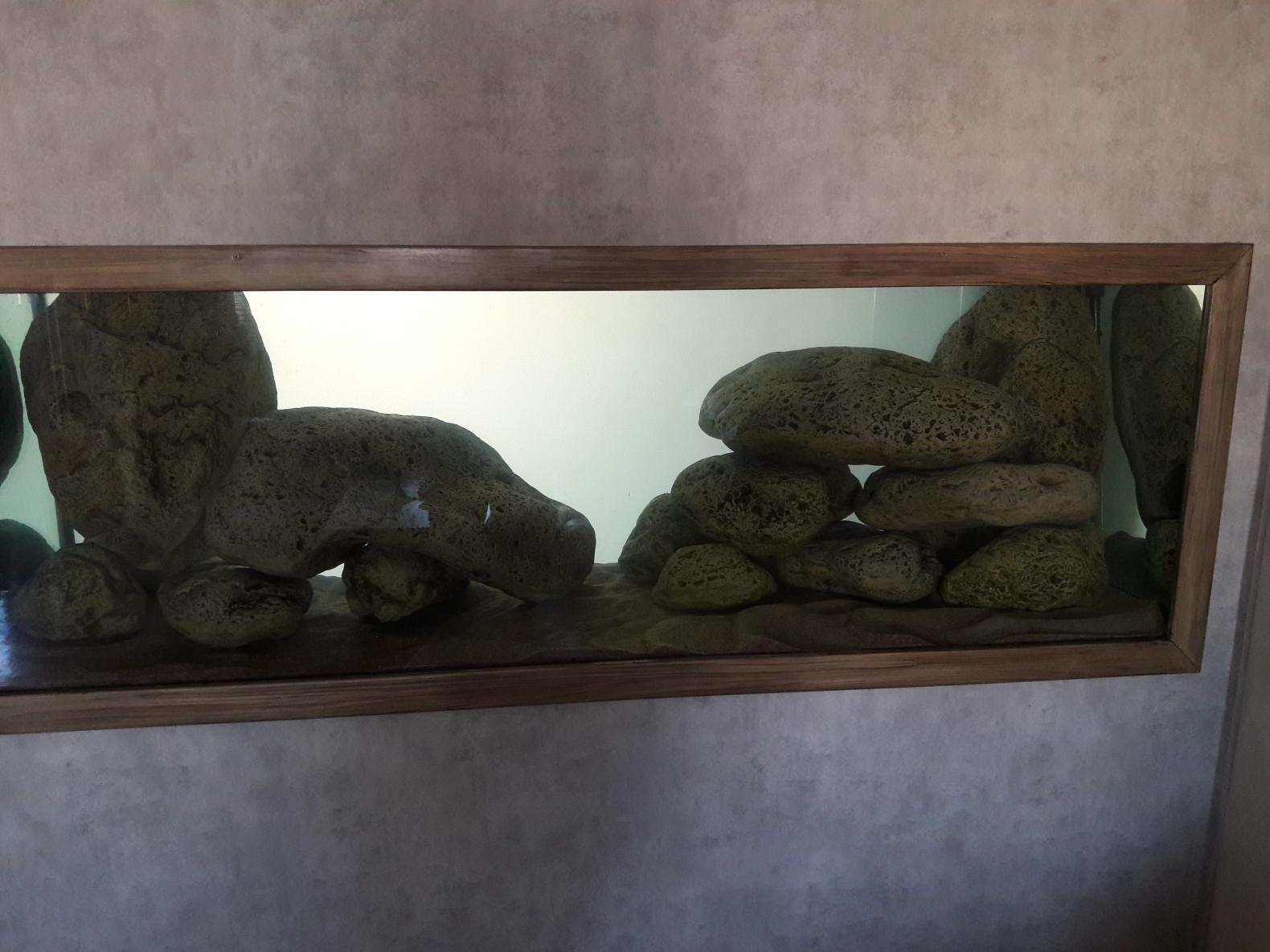 20180506_121630.jpg