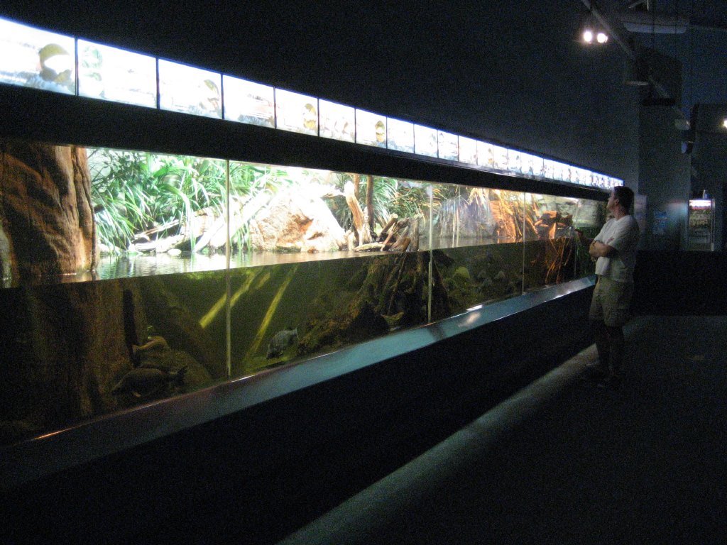 446-33437.jpg