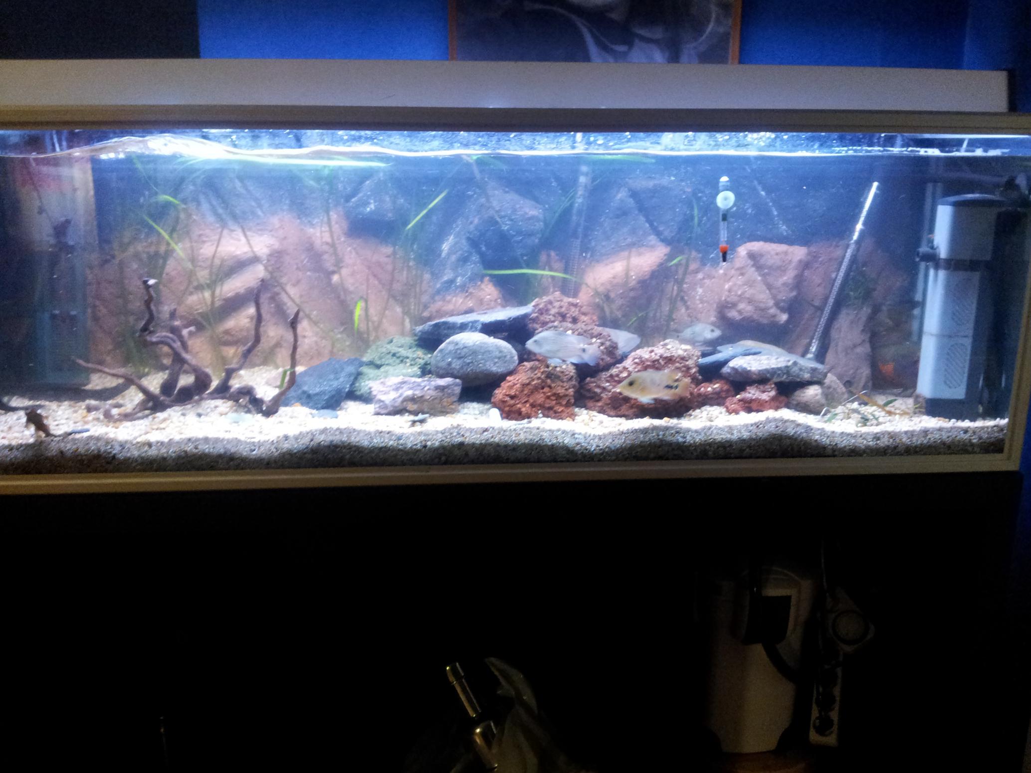 20121023_191055.jpg