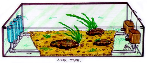 river_tank_01.jpg