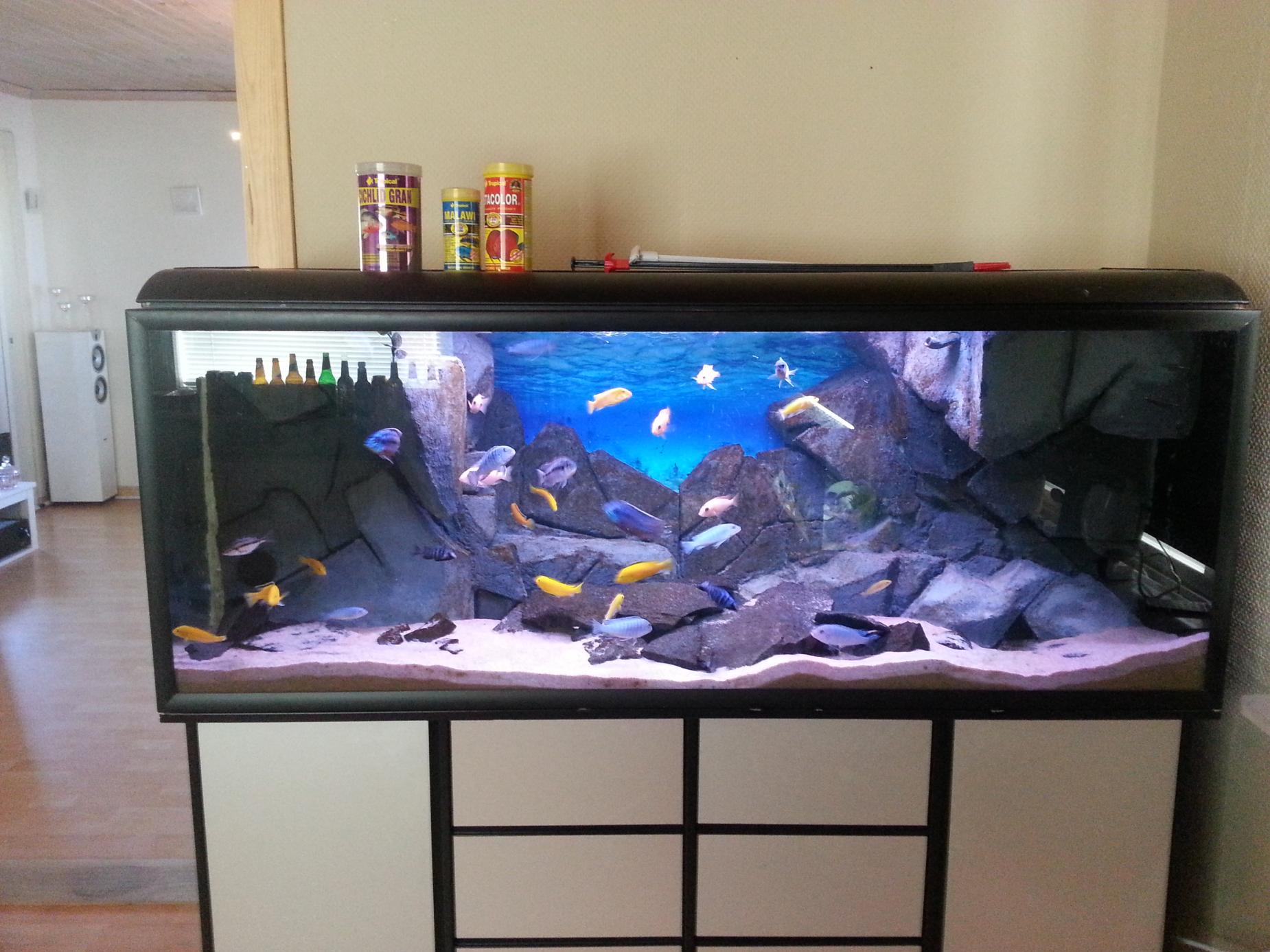 20130326_153620.jpg