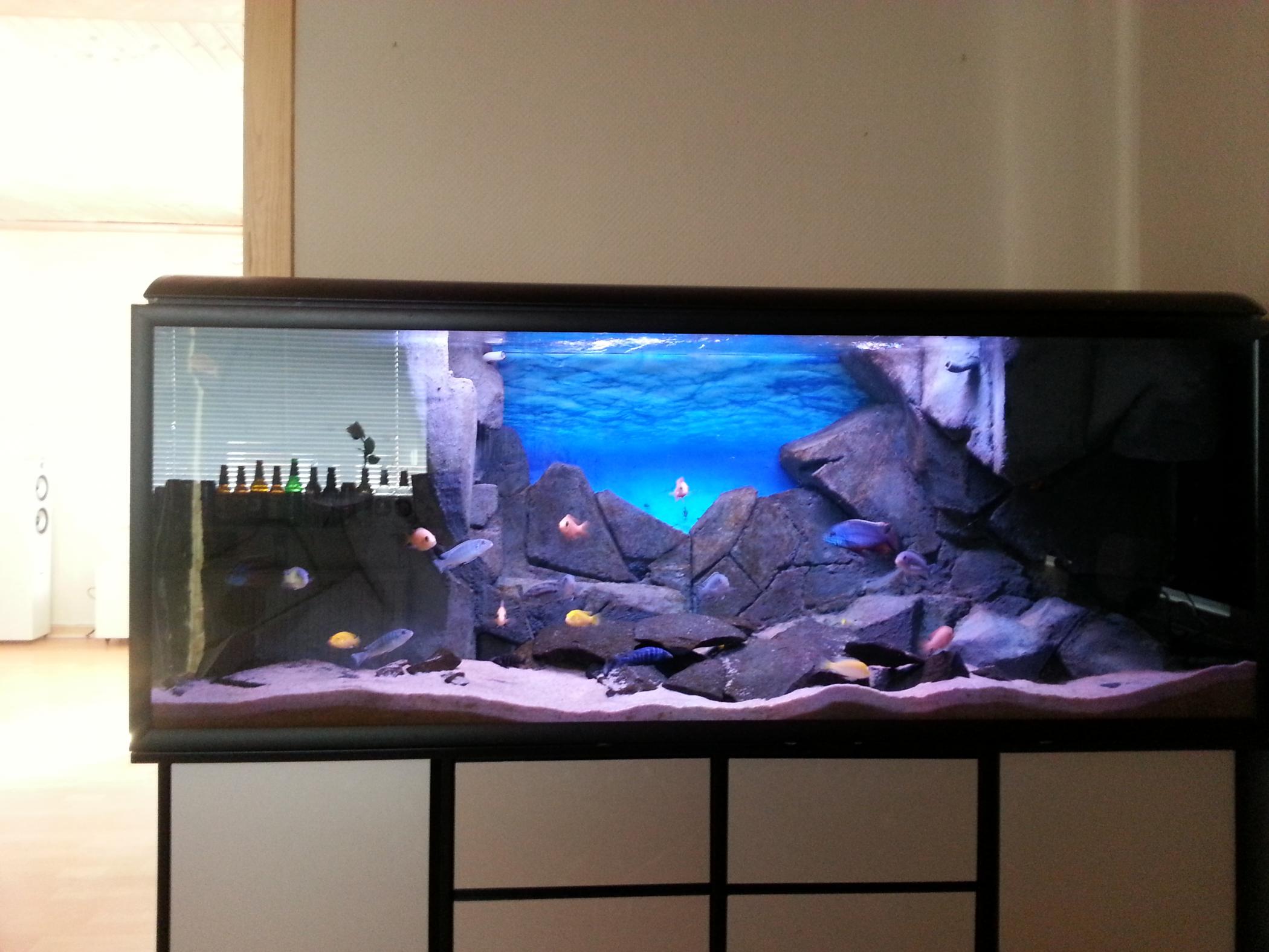20130322_090537.jpg