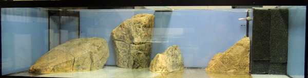 malawi_tank_small.jpg