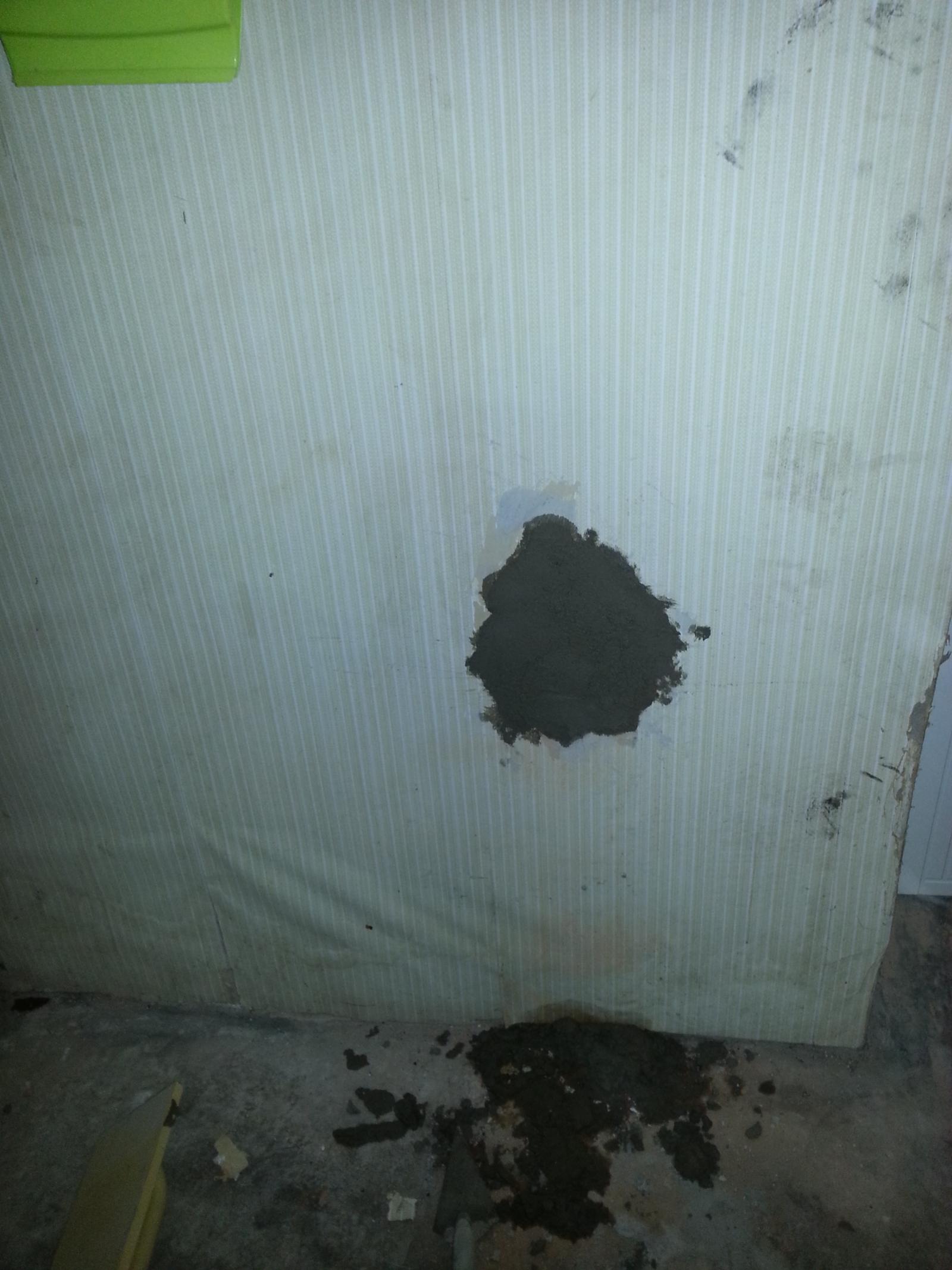 20130421_173126.jpg