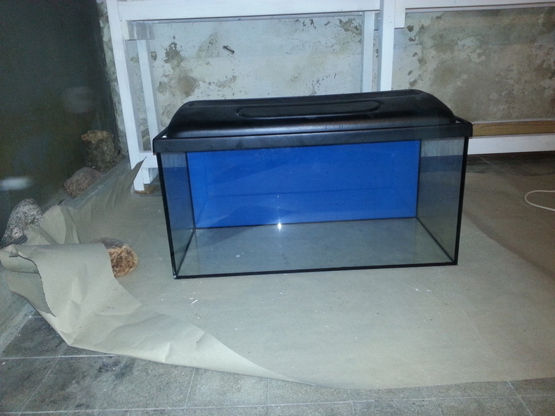 20130521211822.jpg