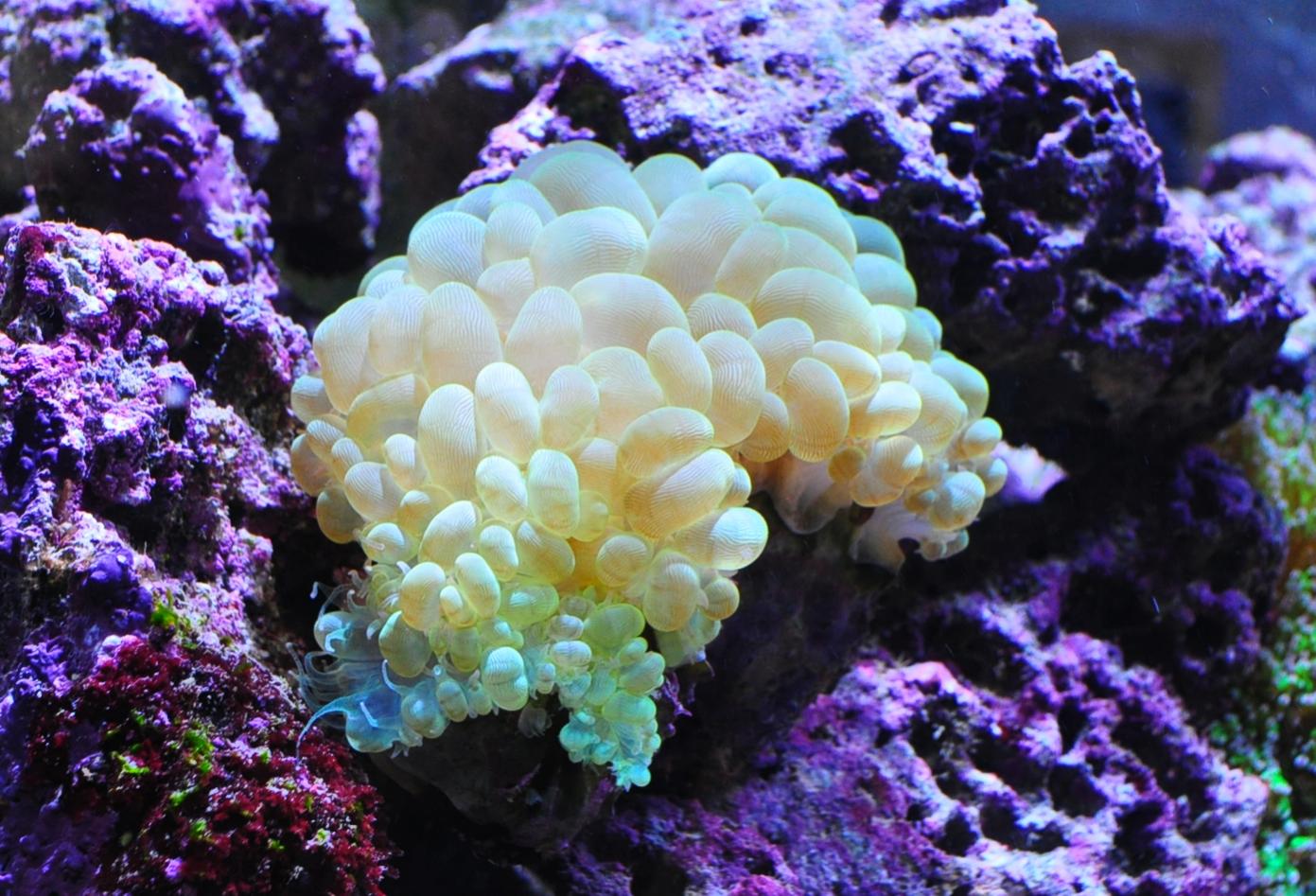 DSC_00285.jpg