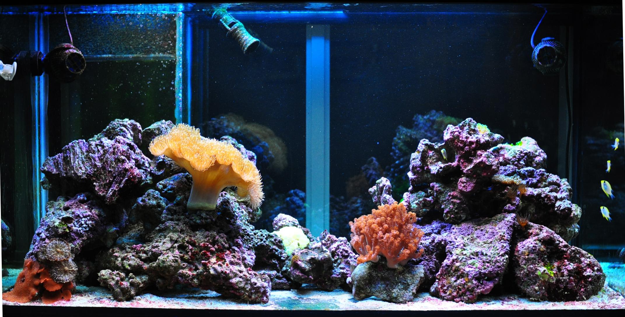 DSC_0002.jpg