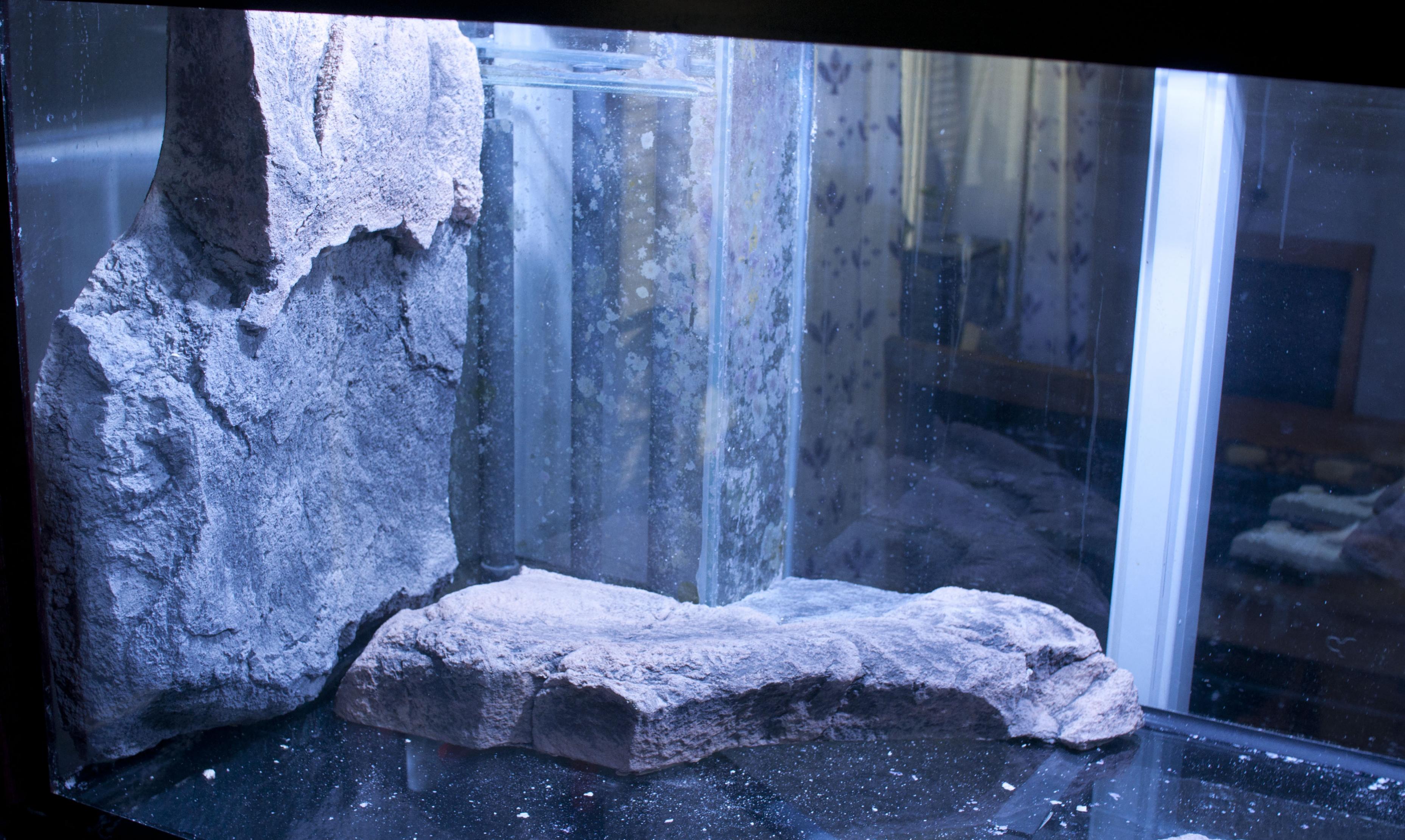 DSC_0082.jpg