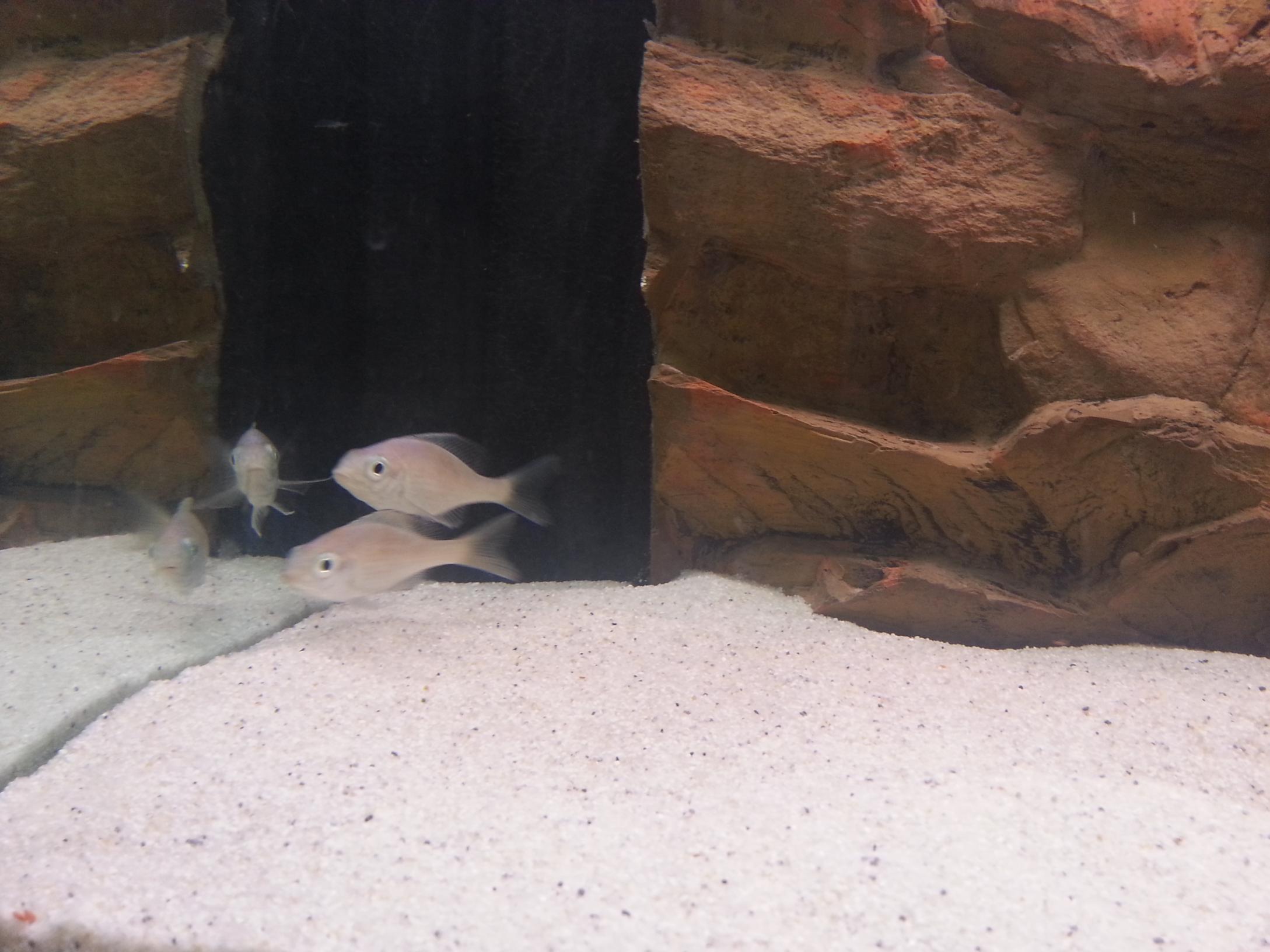 20130316_113836.jpg