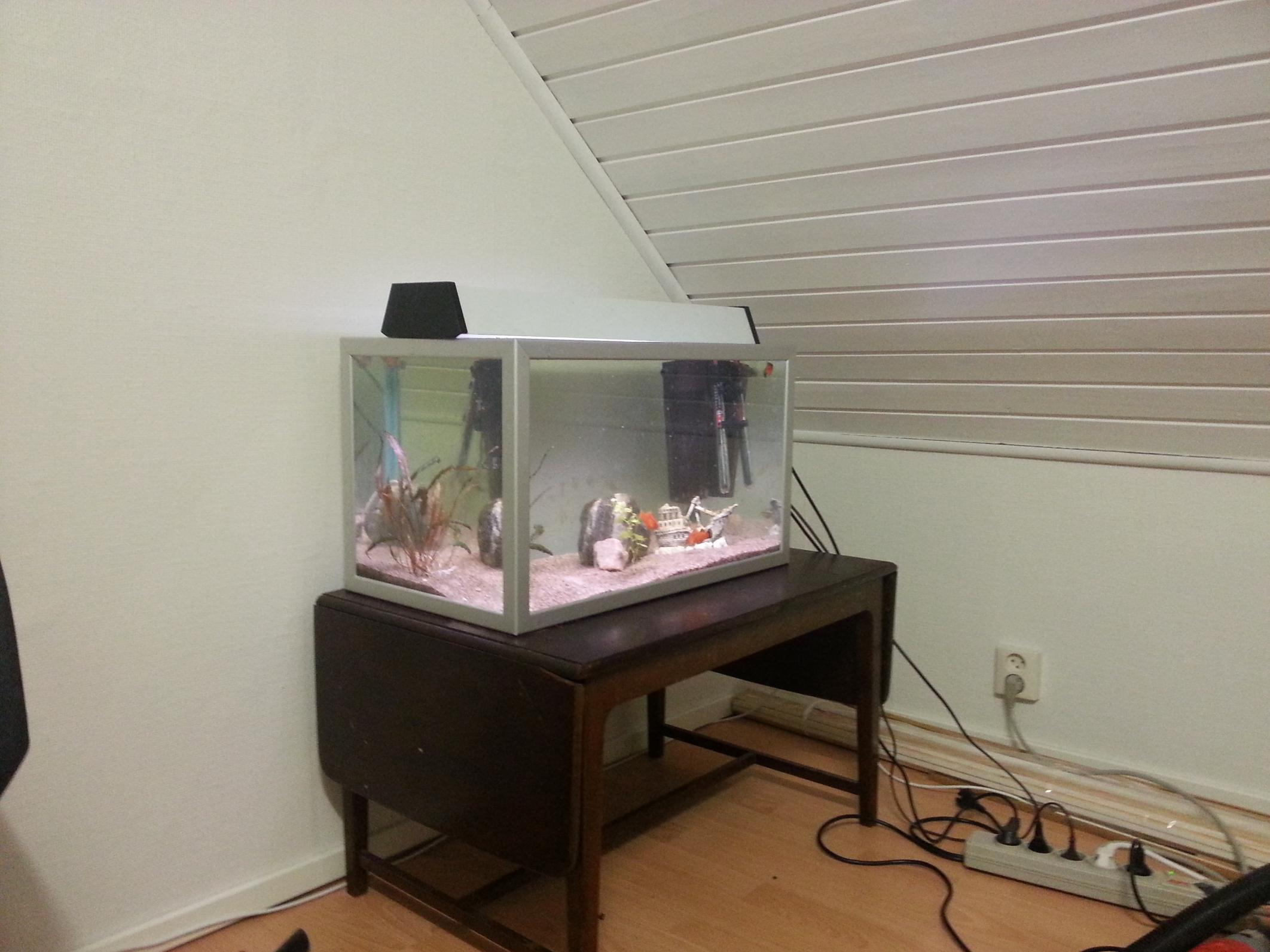 20130308_190114.jpg