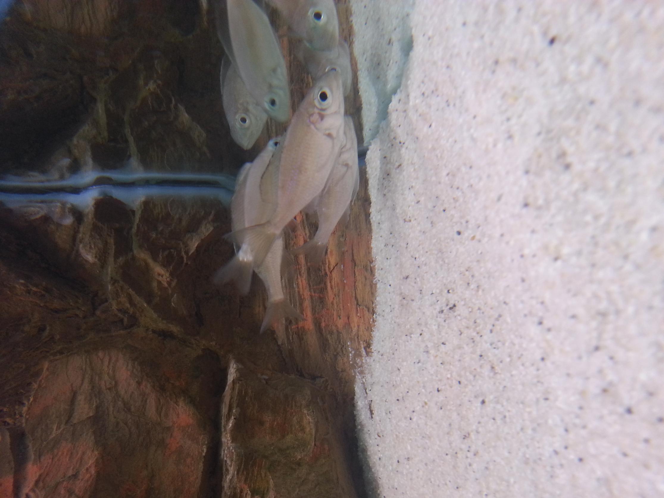 20130316_113204.jpg