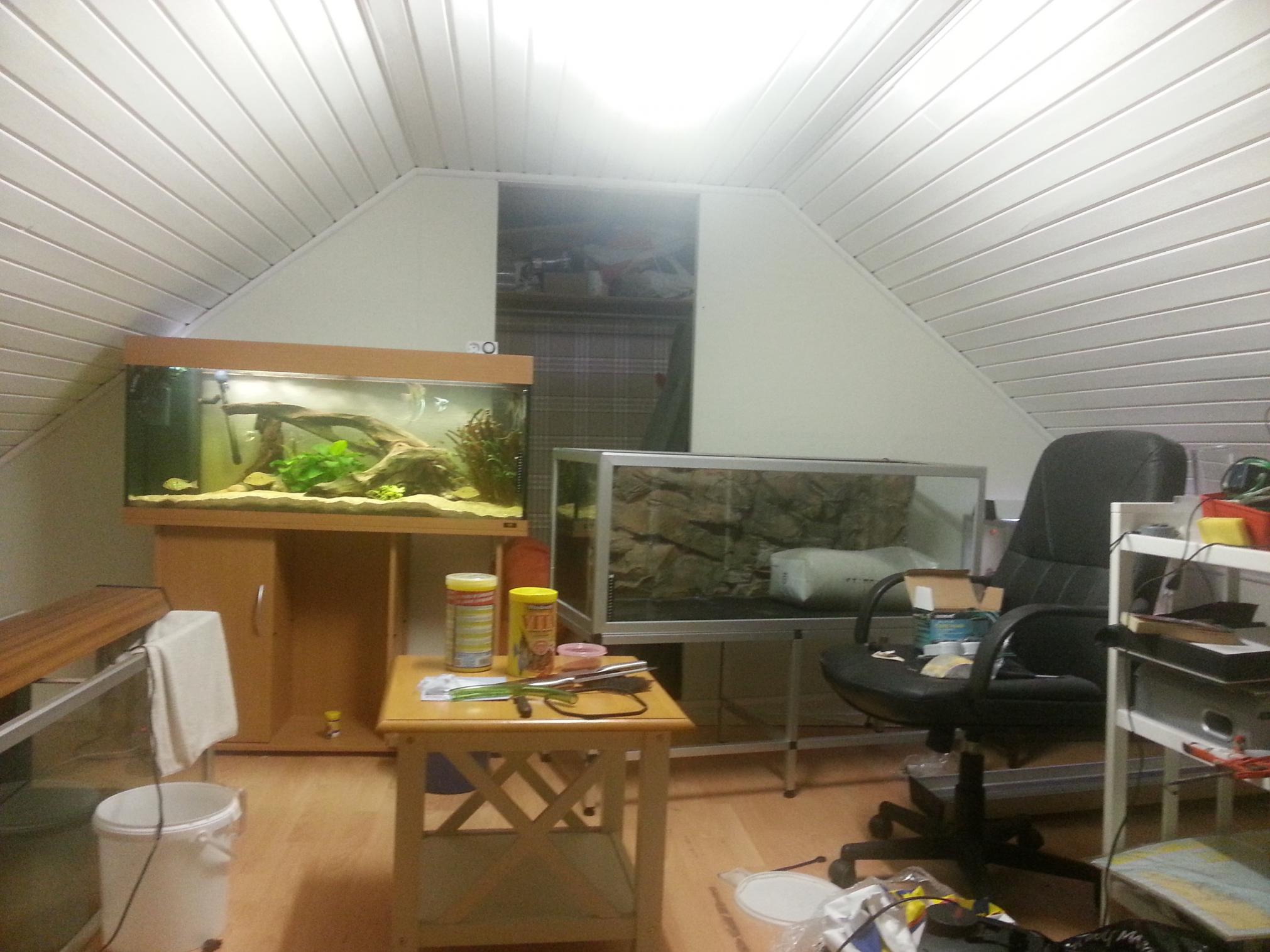 20130227_203313.jpg