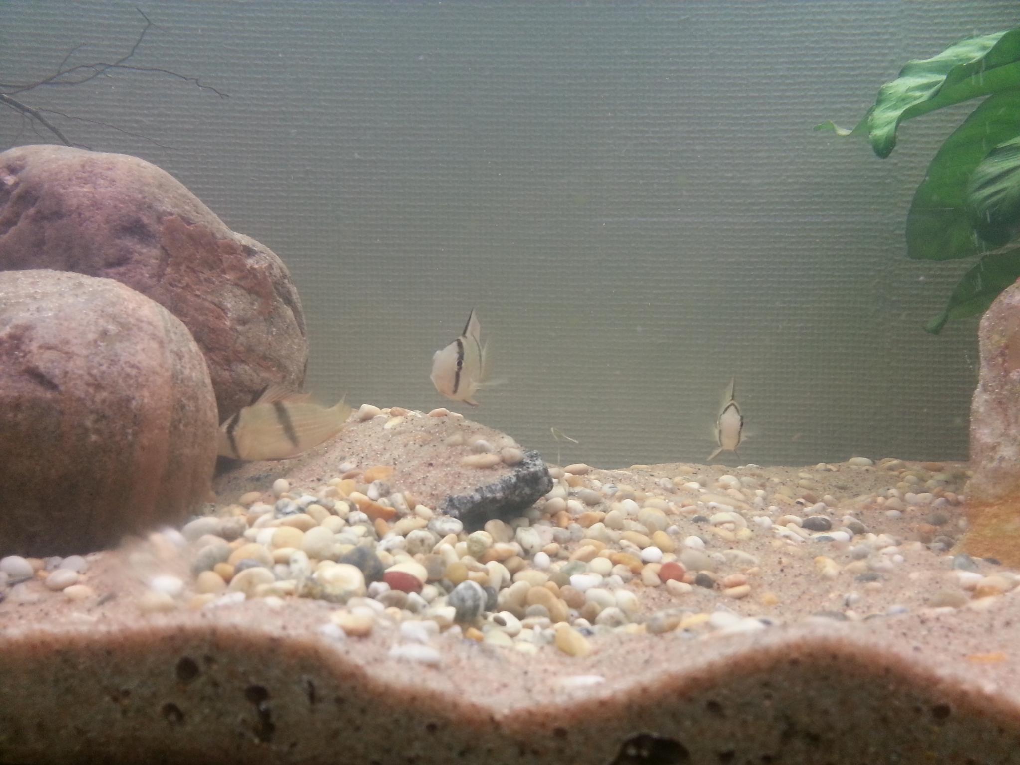 20130717_002930.jpg