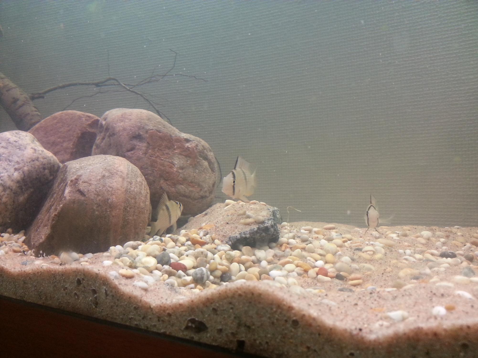 20130717_002937.jpg