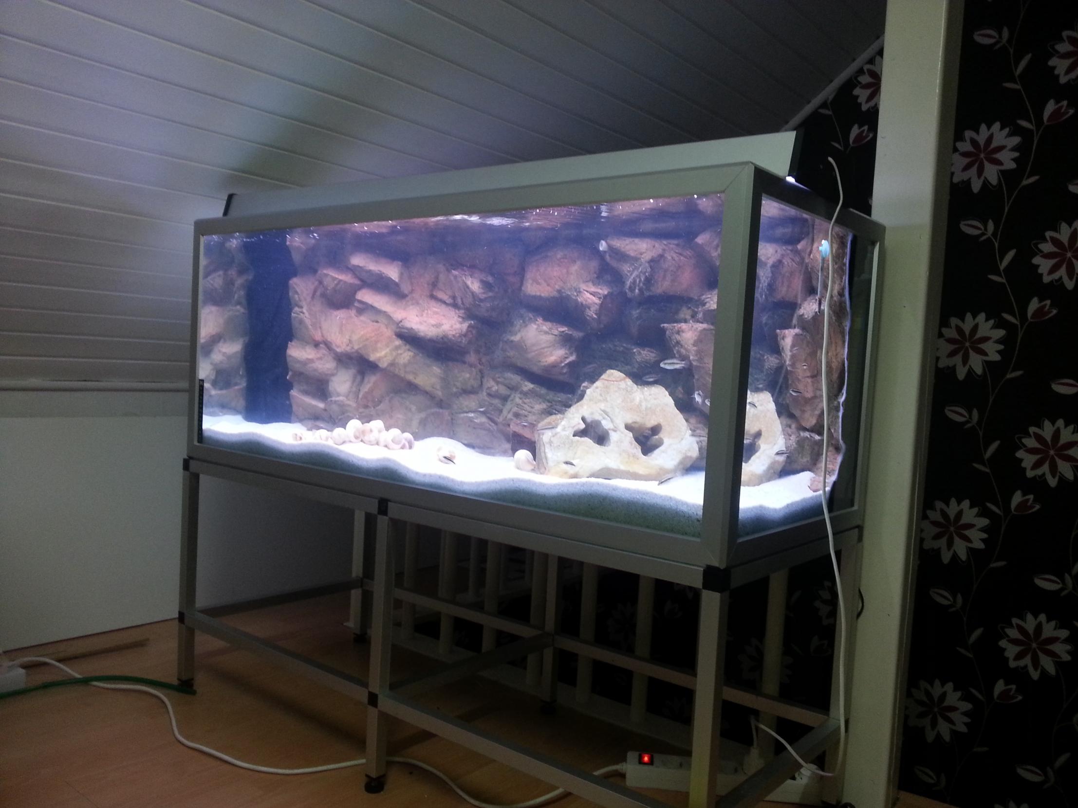 20130308_190108.jpg
