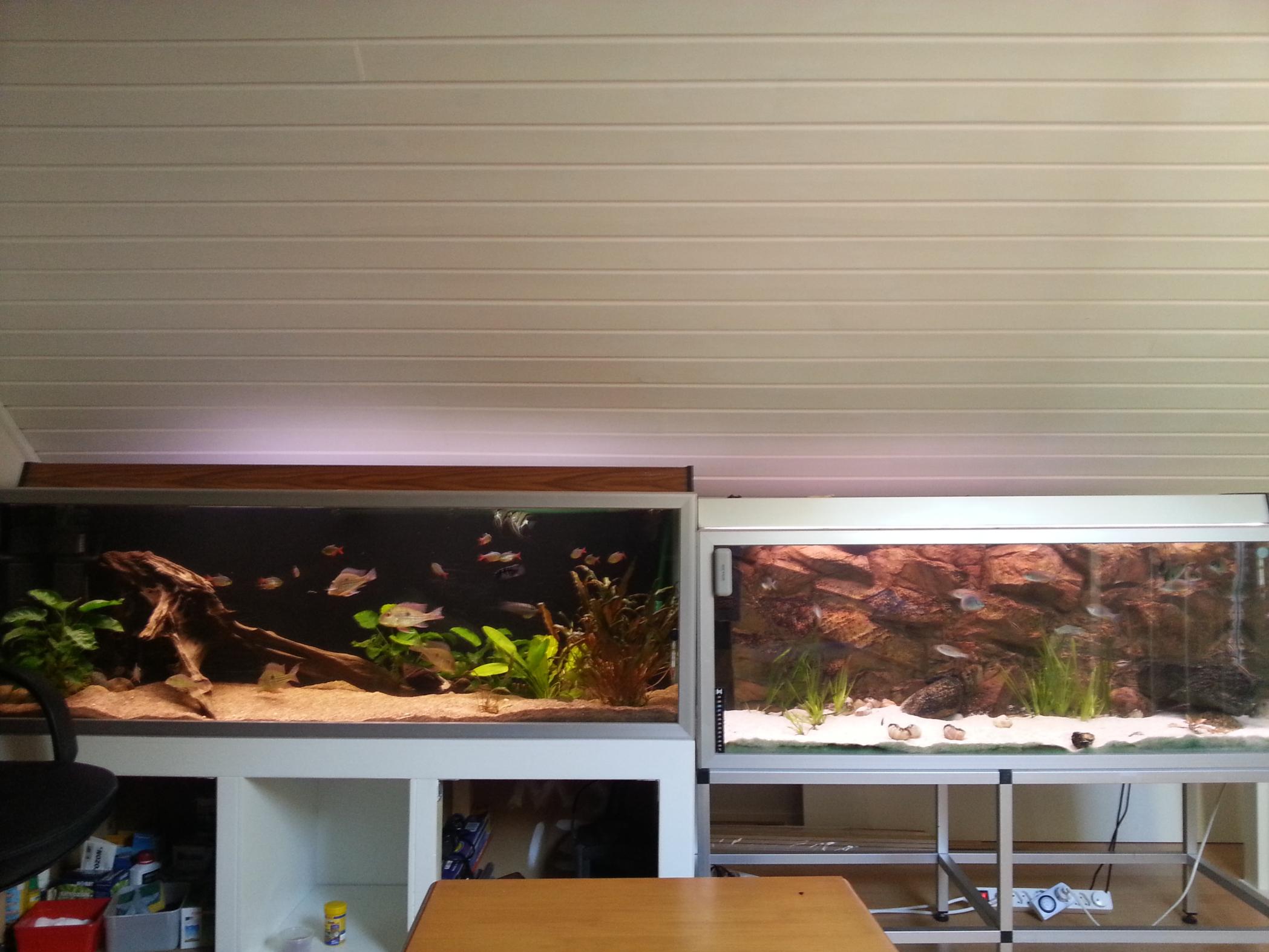 2013-06-17 18.16.05.jpg
