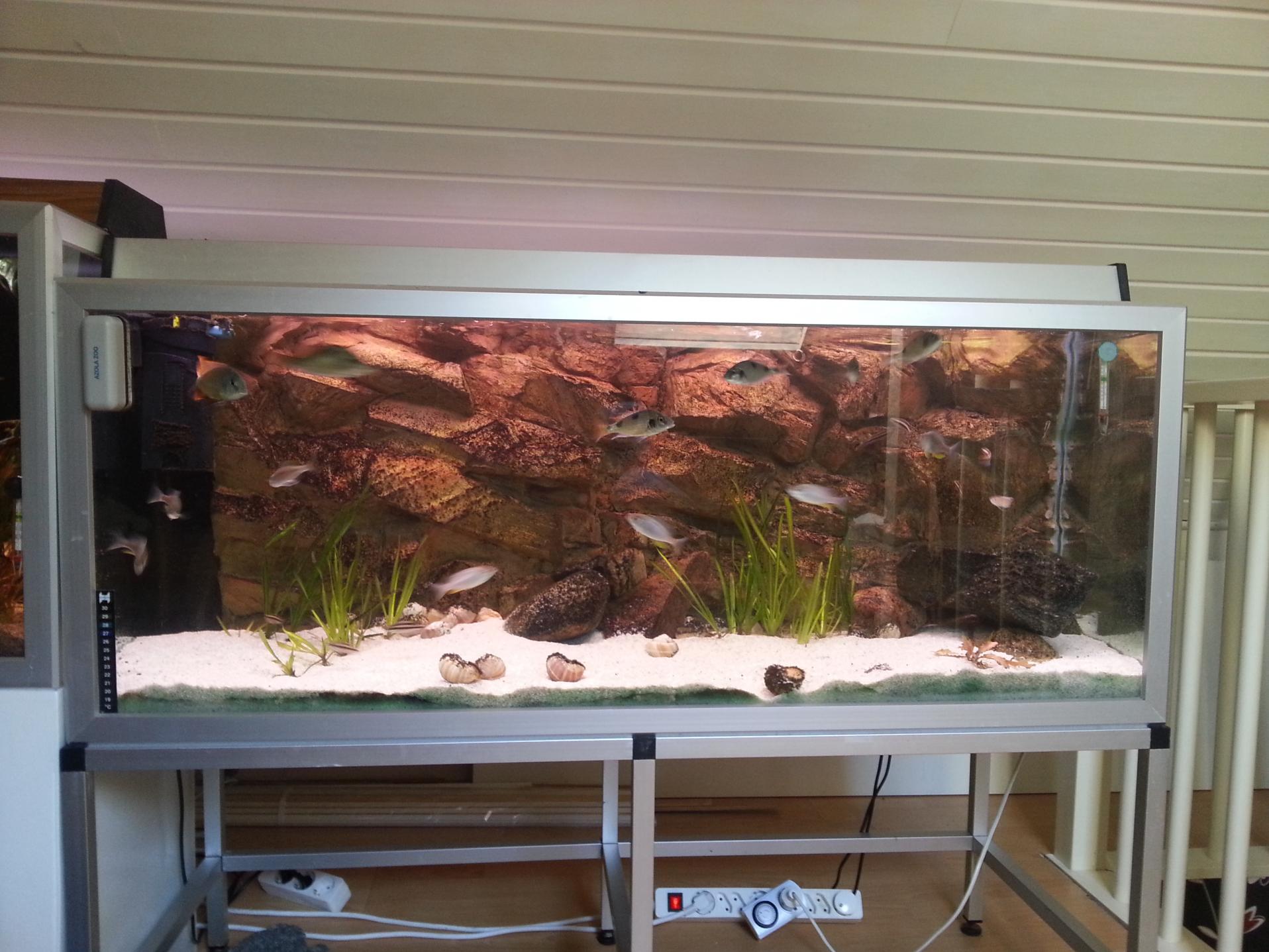 2013-06-17 18.16.42.jpg